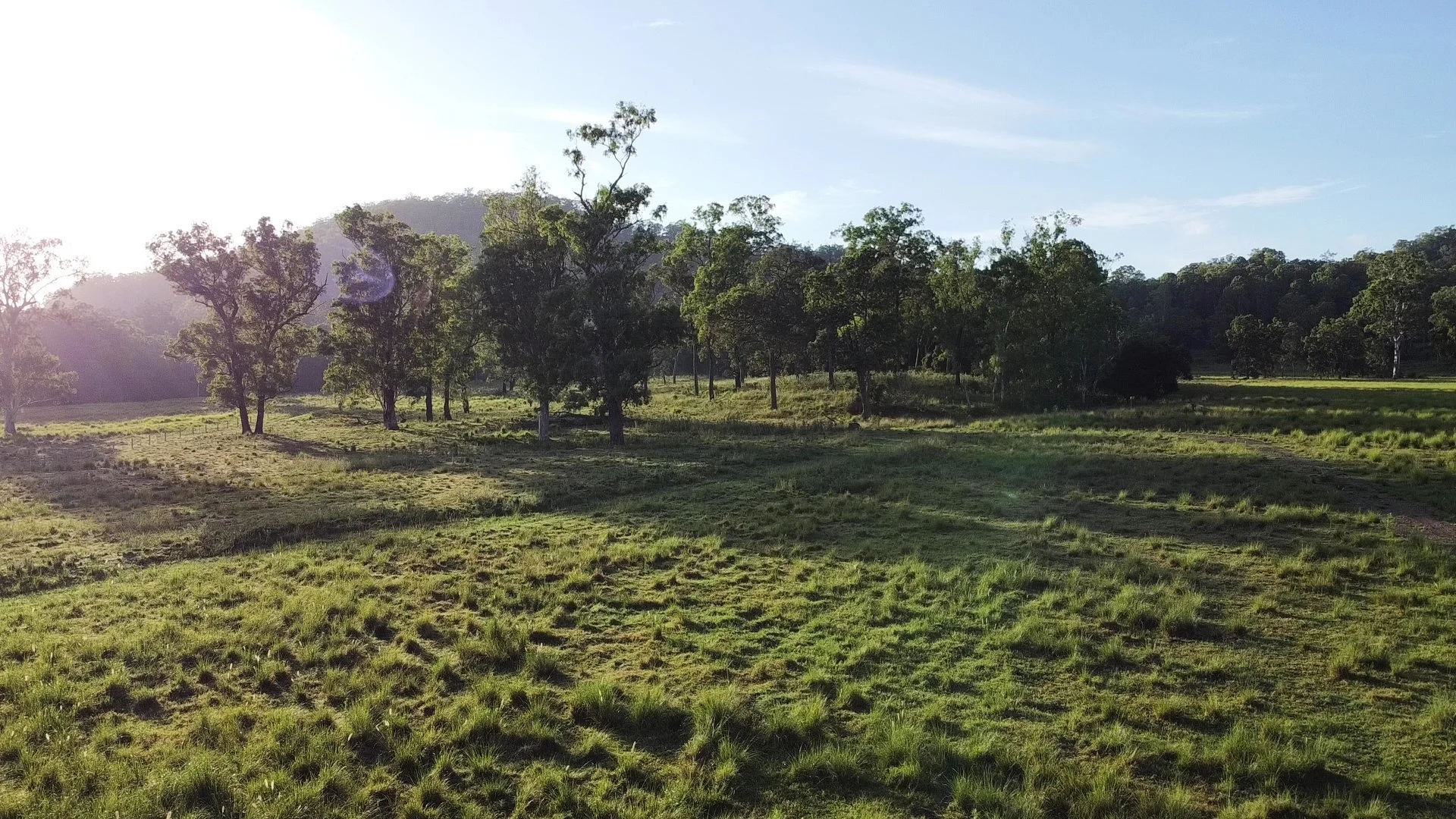 Additional image 16 of 1106 Naughtons Gap Road, Bentley NSW 2480