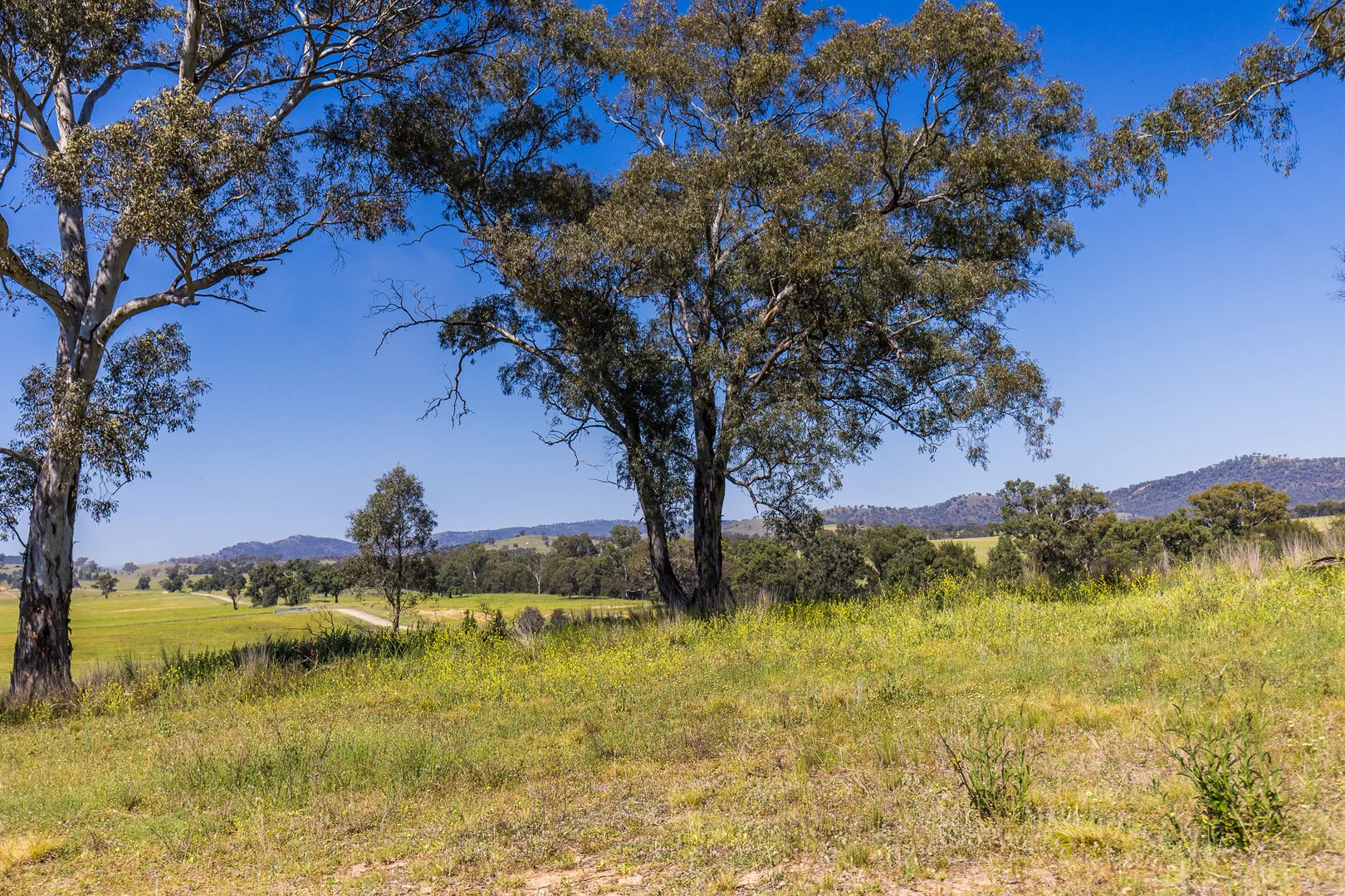 Additional image 7 of 4194 Twelve Mile Road, Gulgong NSW 2852