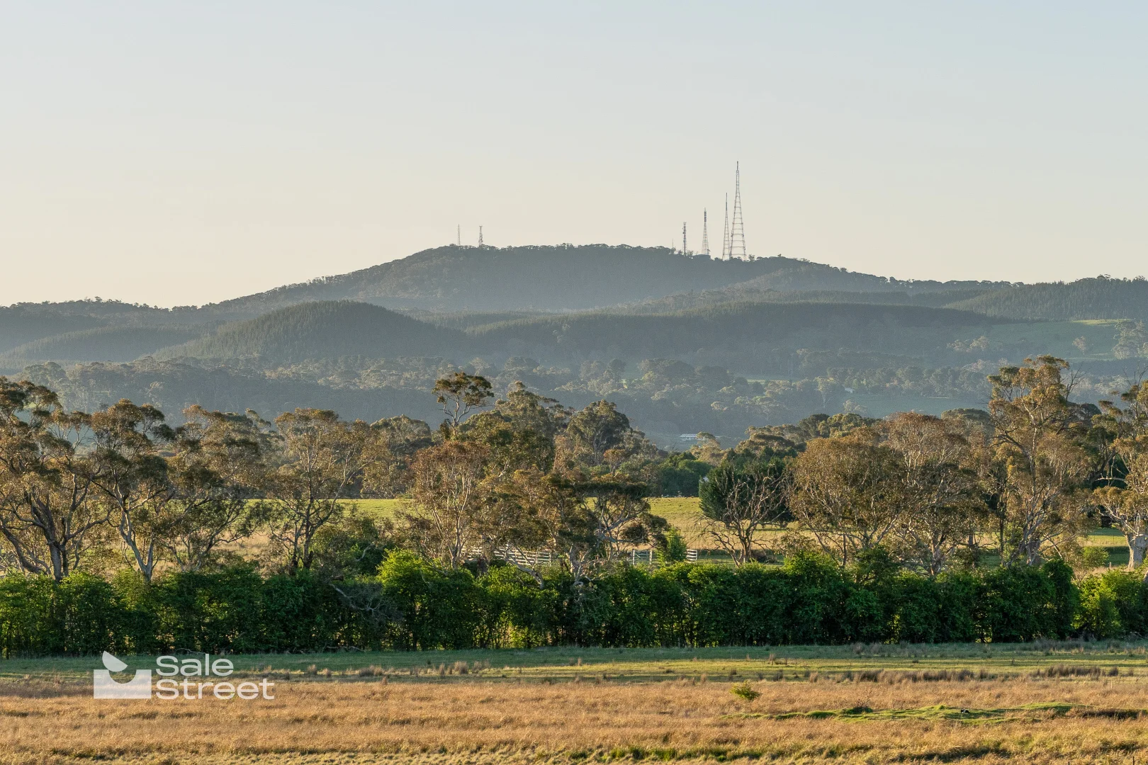 Additional image 8 of 31 Curralea Lane, Forest Reefs NSW 2798