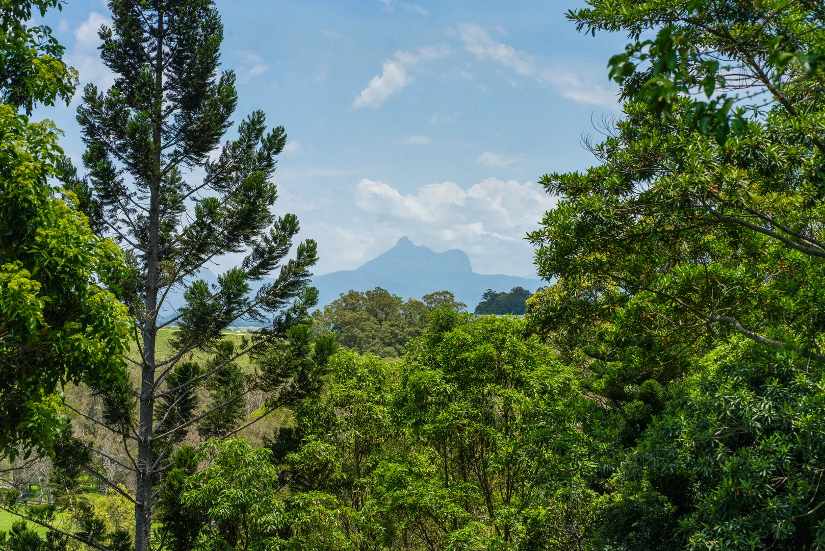 Additional image 8 of 1130 Terranora Road, North Tumbulgum NSW 2490