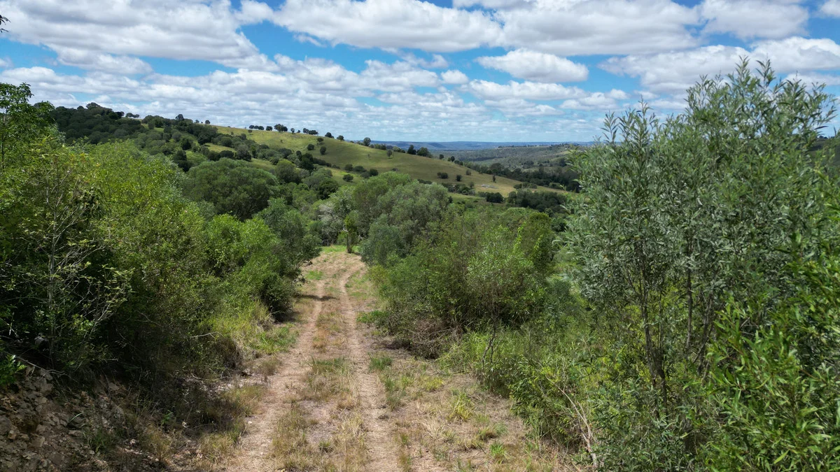 Additional image 4 of 304 Mercer Springate Road, East Nanango QLD 4615