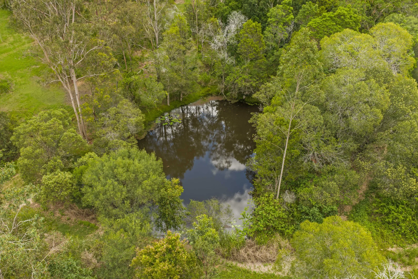 Additional image 29 of 4 Percival Road, Chatsworth QLD 4570