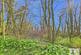 Additional image 31 of Tanygroes, Cardigan