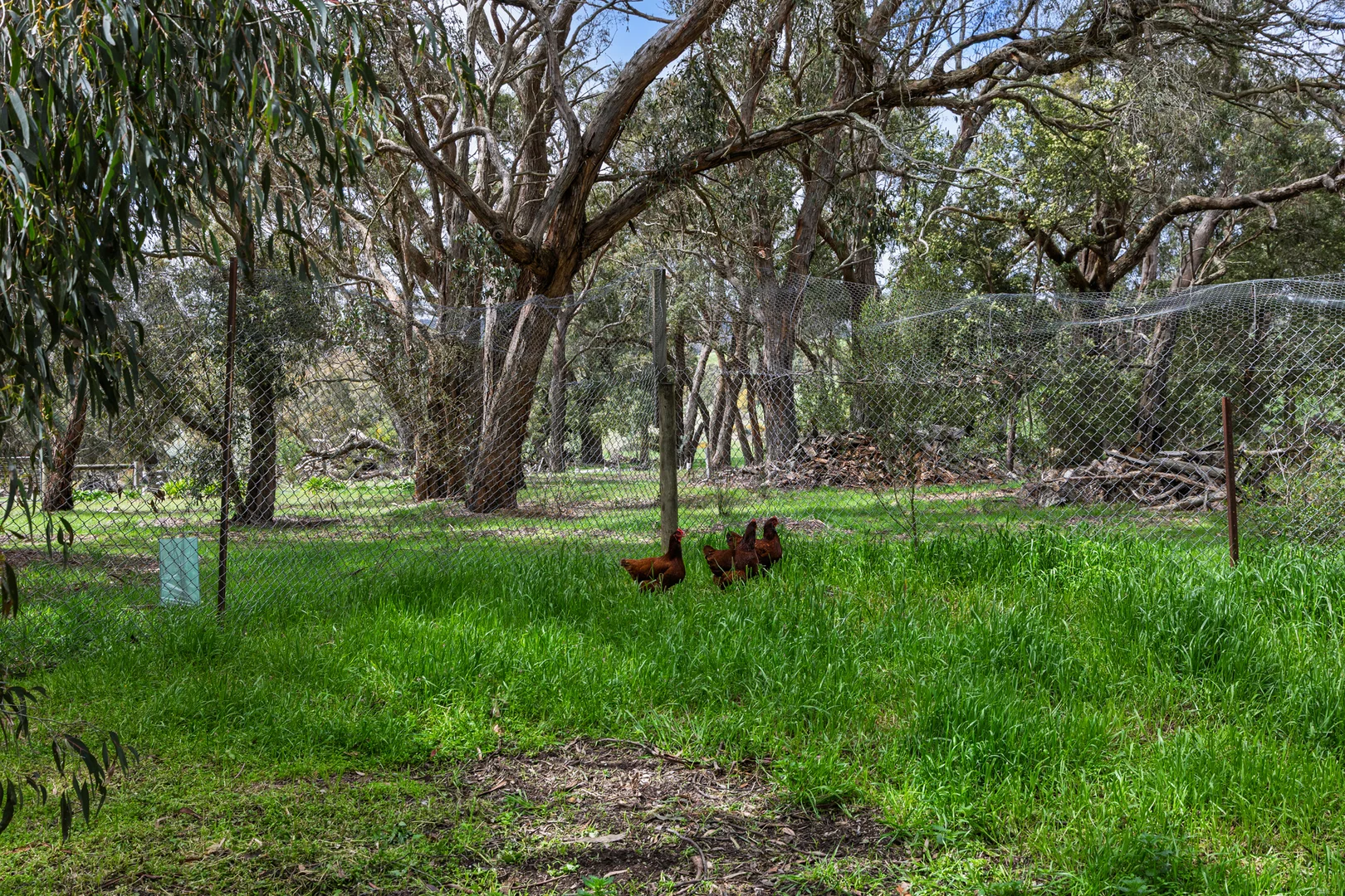 Additional image 19 of Durham Lead VIC 3352