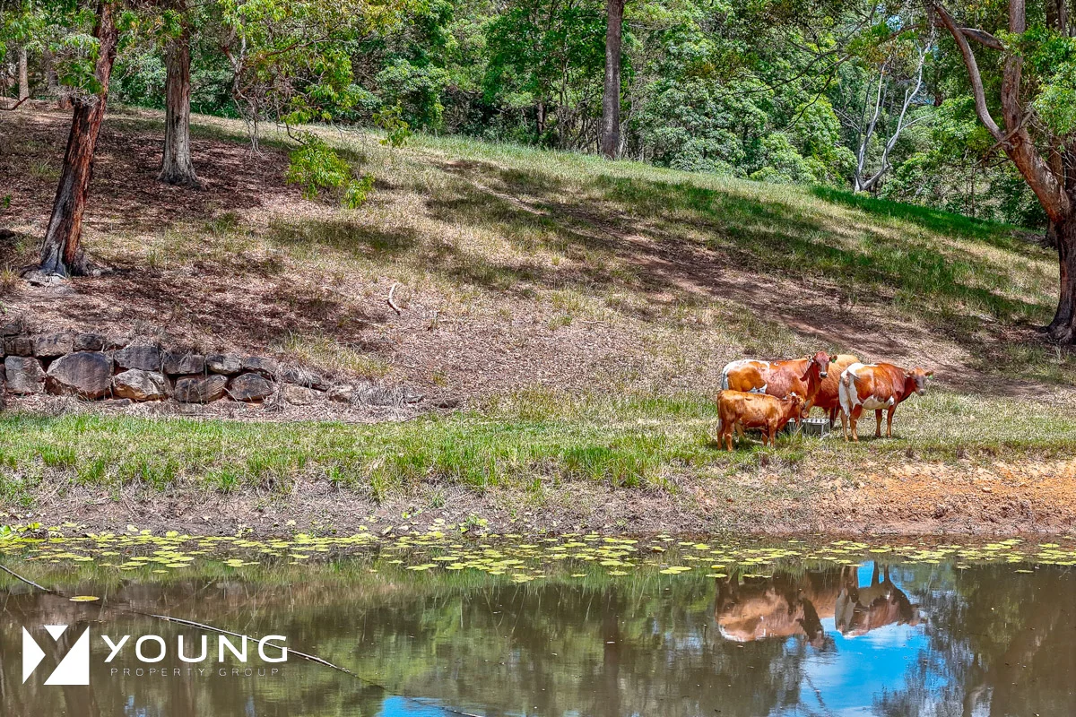 Additional image 31 of 22-40 Hamilton Road, West Woombye QLD 4559