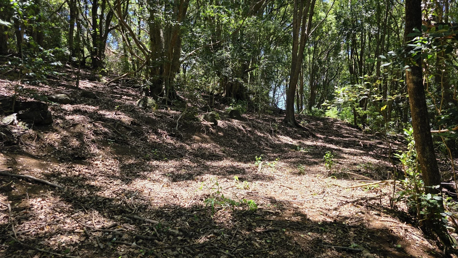 Additional image 8 of 70 North Teven Road, Teven NSW 2478