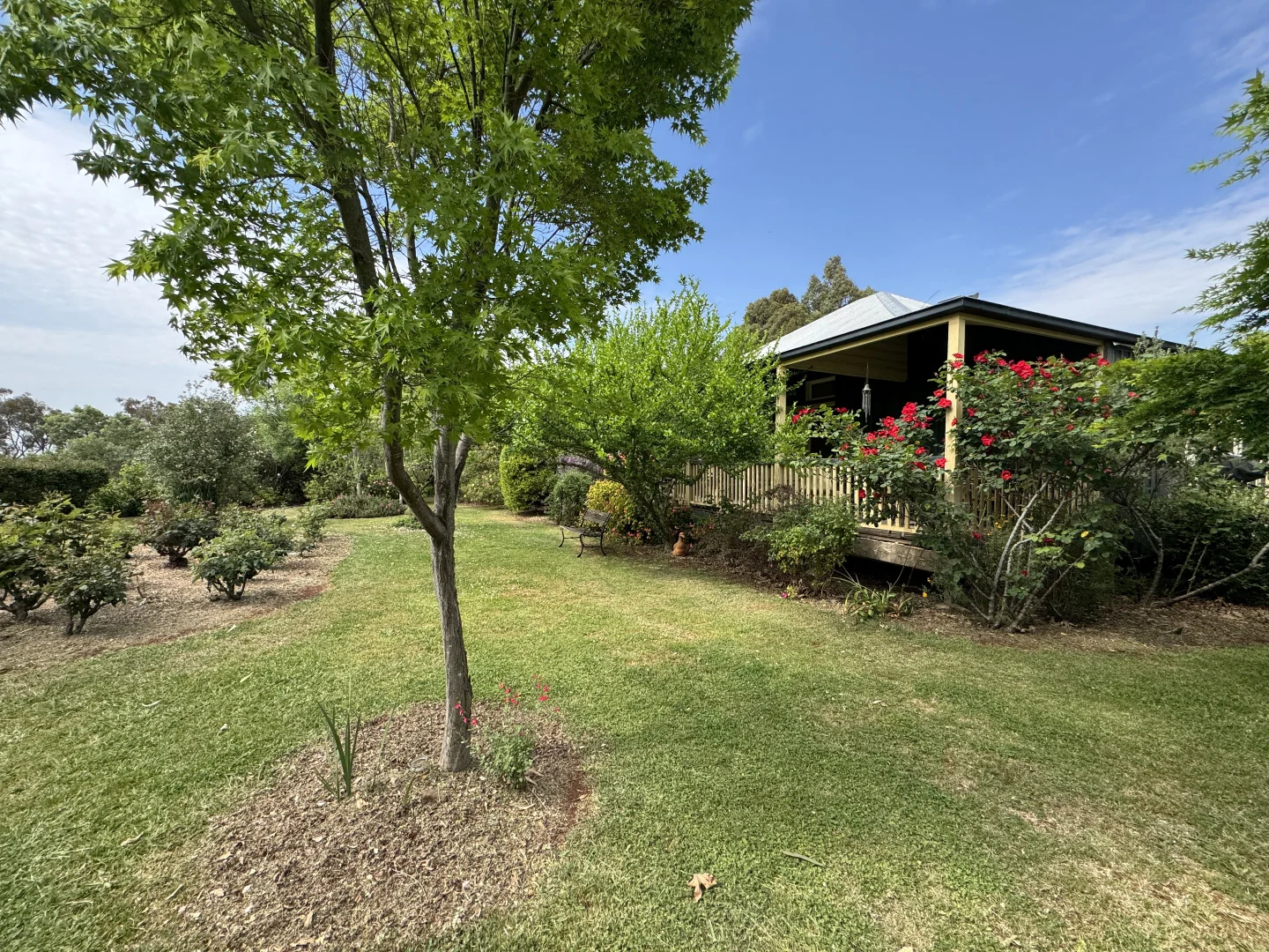 Additional image 5 of 121 Orchard Place, Inverell NSW 2360