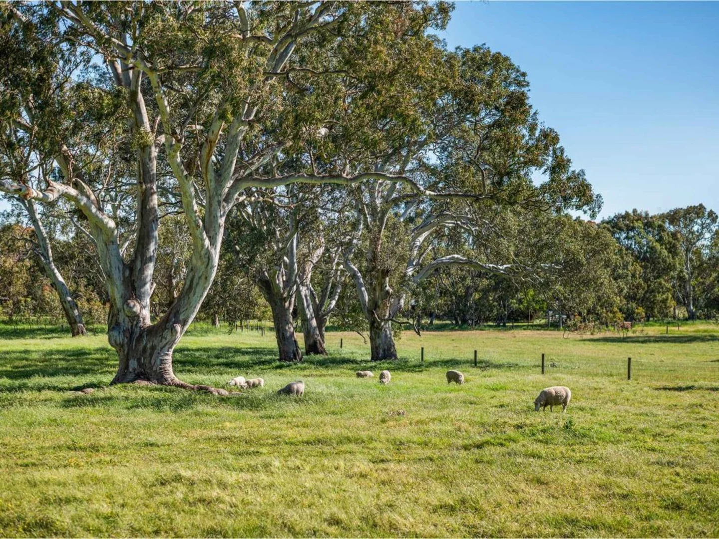 Additional image 33 of 6997 Dartmoor Hamilton Road, Hamilton VIC 3300