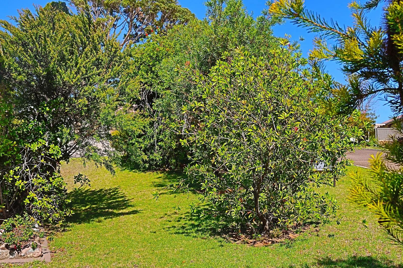 Additional image 15 of 18/11 Payne Street, Narooma NSW 2546