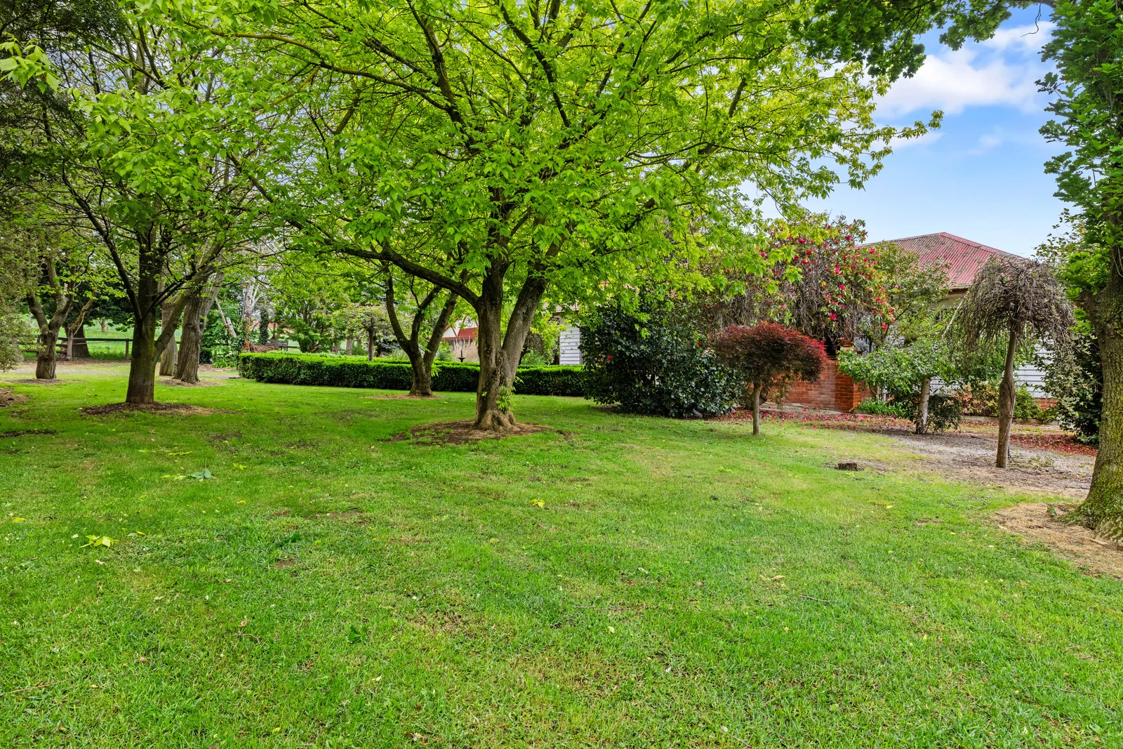 Additional image 29 of 335 Harveys Road, Ruby VIC 3953