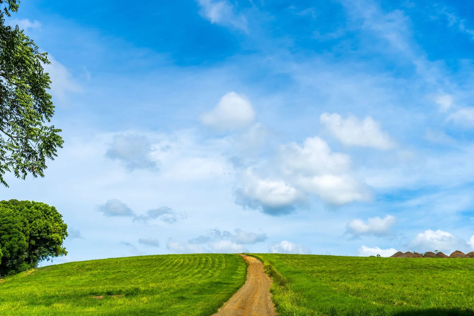 Additional image 15 of 323 Alcorn Road, Knockrow NSW 2479