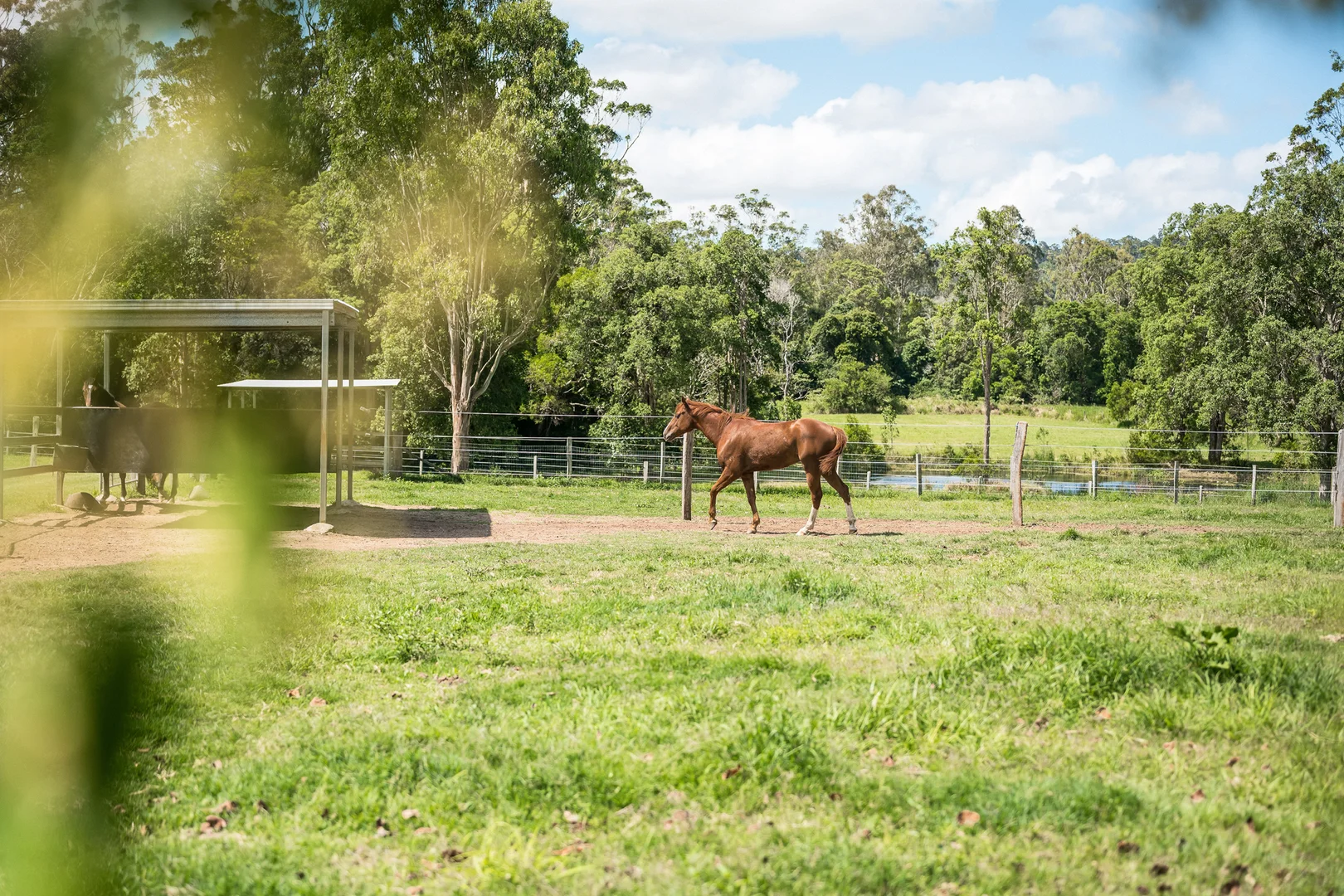 Additional image 18 of 1507 Cooroy Belli Creek Road, Ridgewood QLD 4563