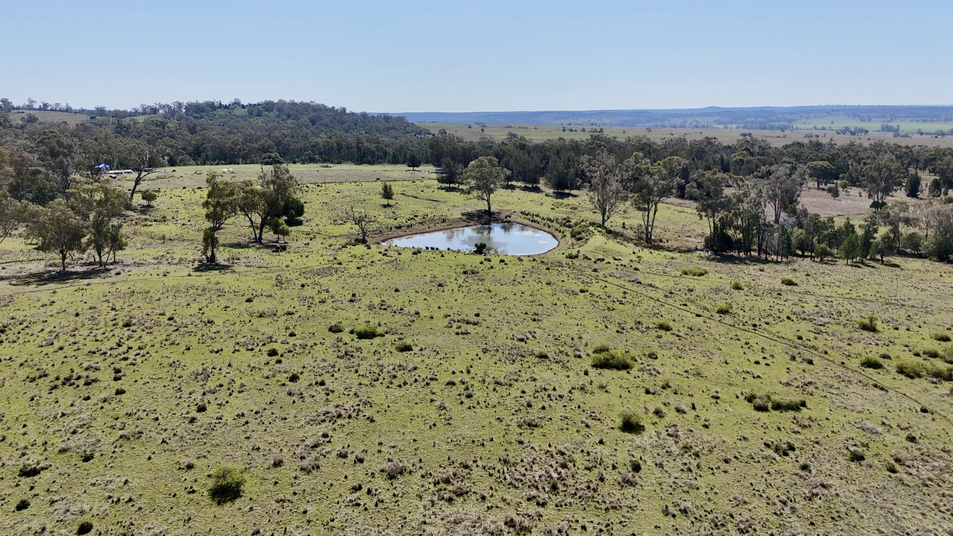Additional image 17 of "Calamity"/1385 Mosquito Creek Road, Warialda NSW 2402