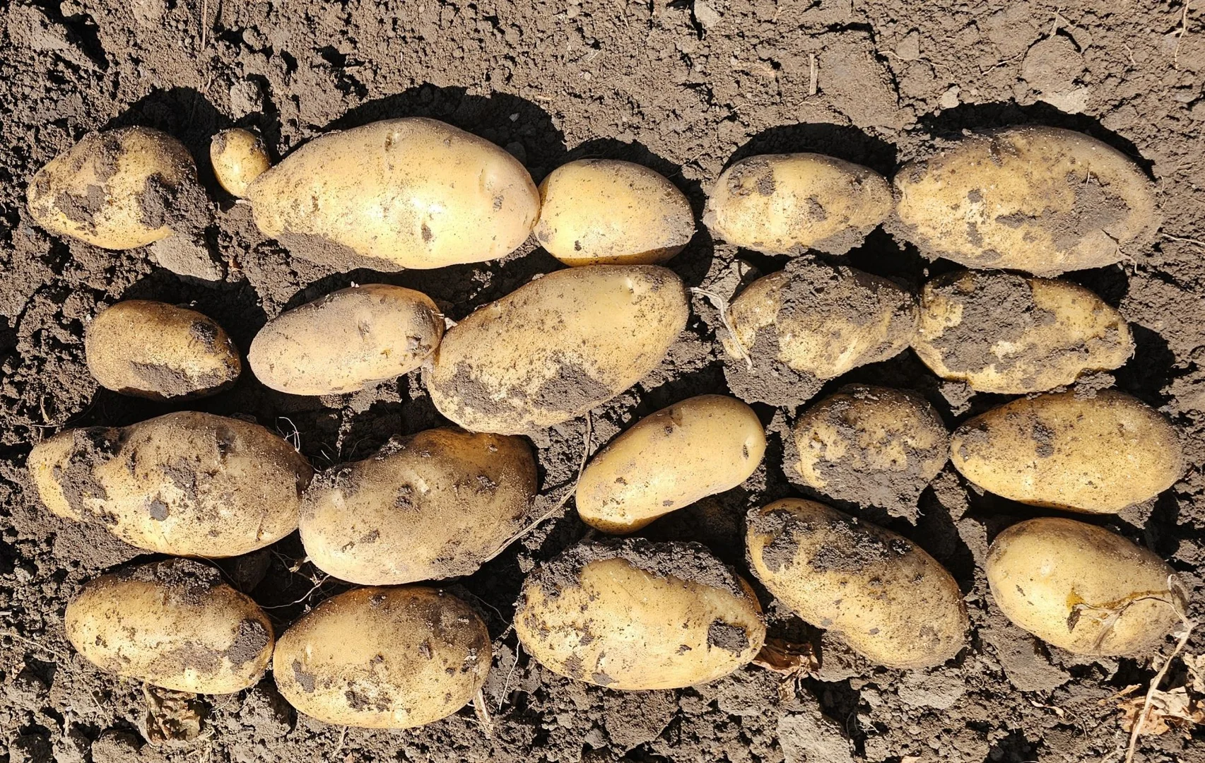 Additional image 20 of 190 Riverview Road, Calavos QLD 4670