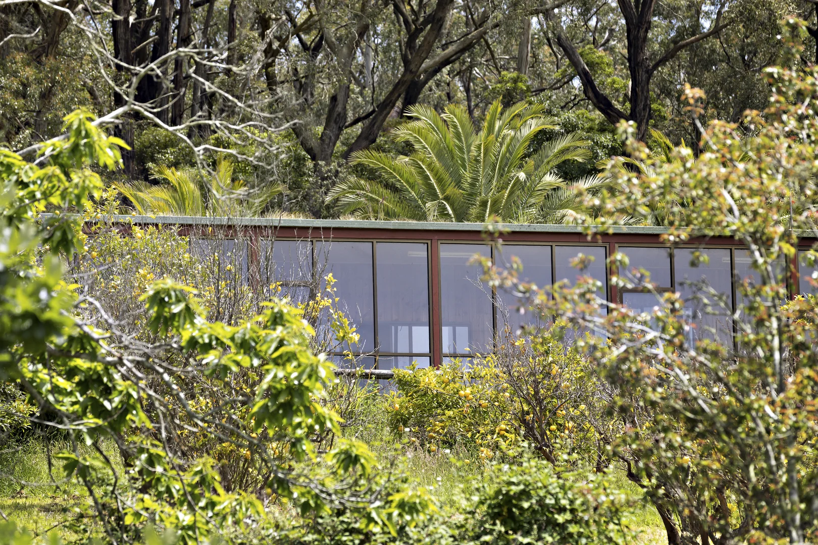 Additional image 10 of 70 Andrews Lane, Red Hill VIC 3937