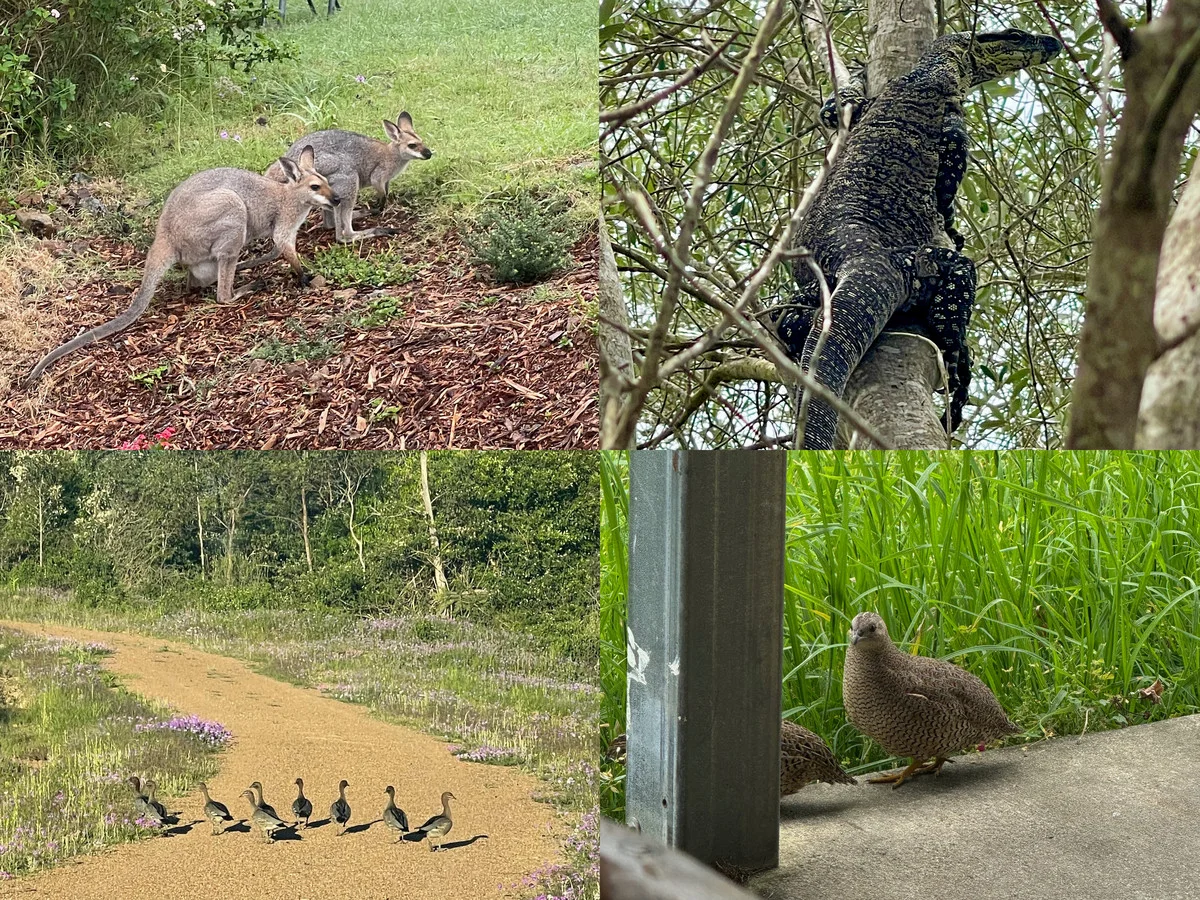 Additional image 28 of 1046 Old Esk Road, Blackbutt QLD 4314