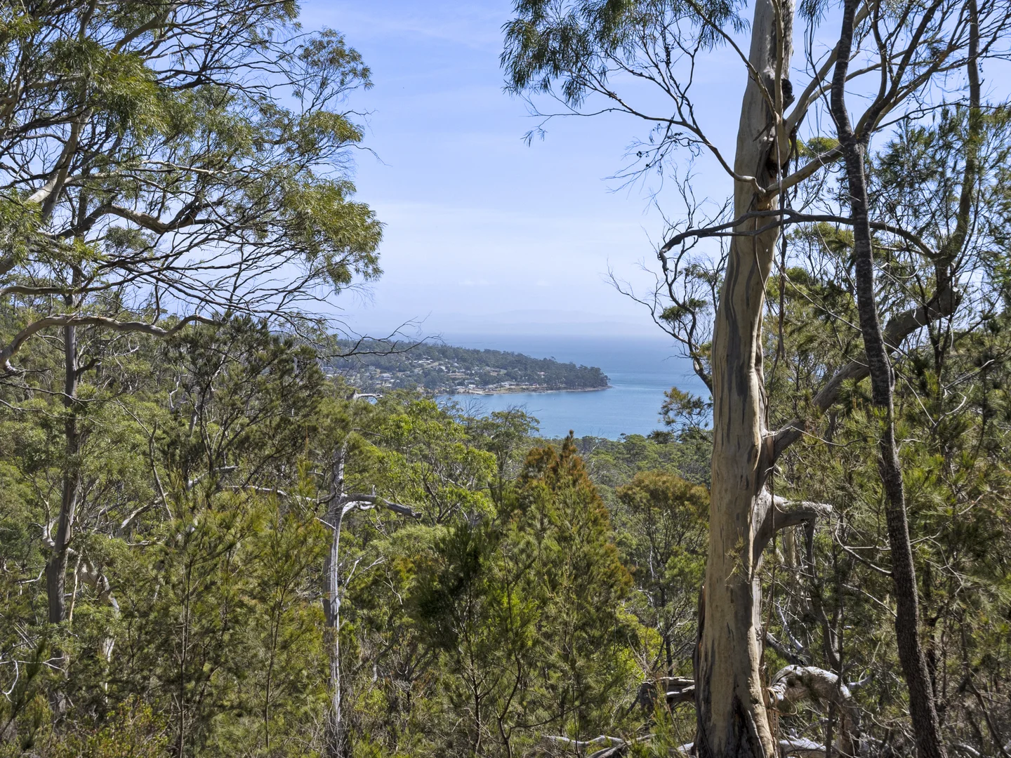 Additional image 7 of 2 and 3 White Beach Road, White Beach TAS 7184