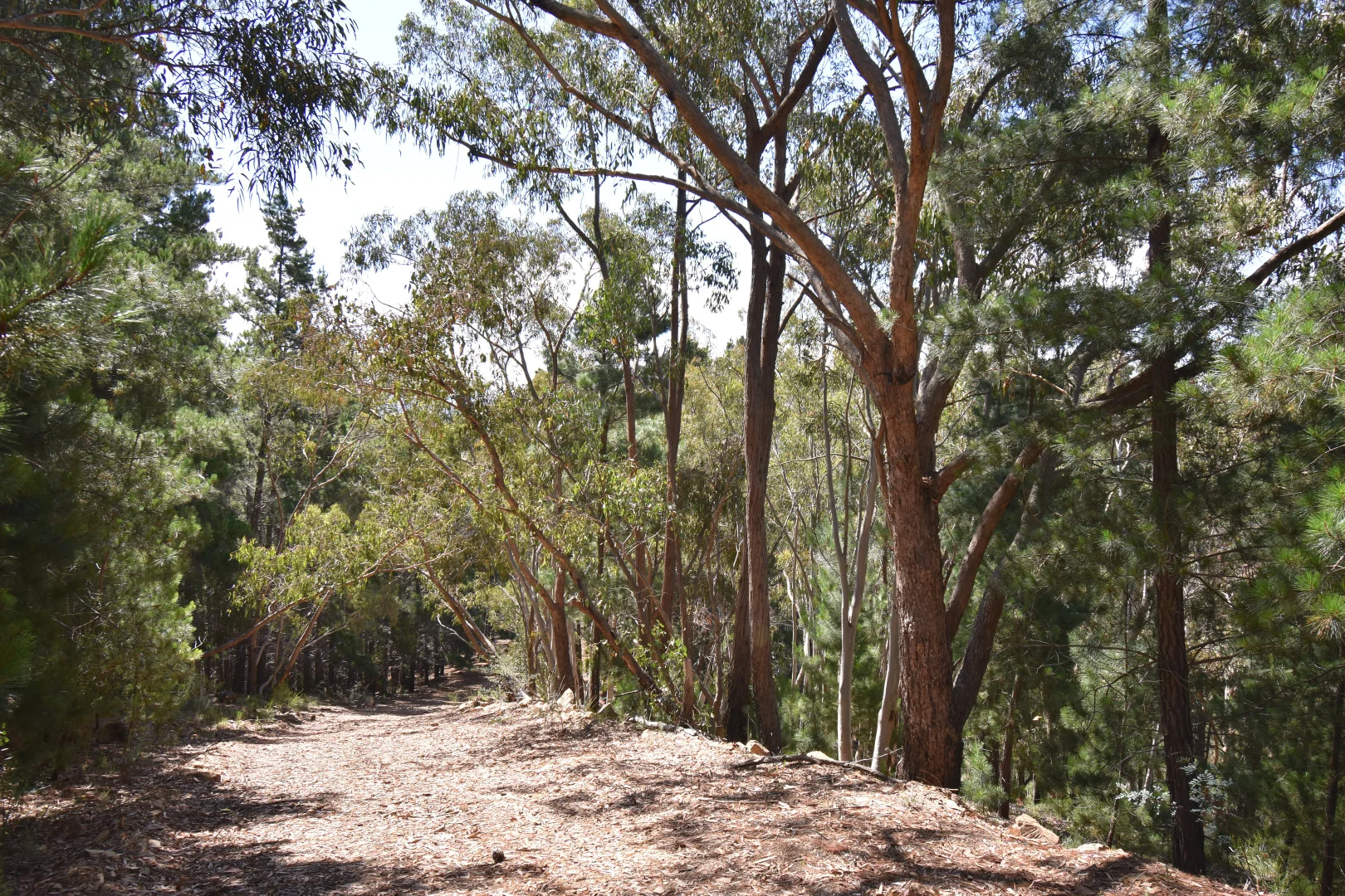 Additional image 2 of 771 Greywacke Road, Twenty Forests NSW 2795