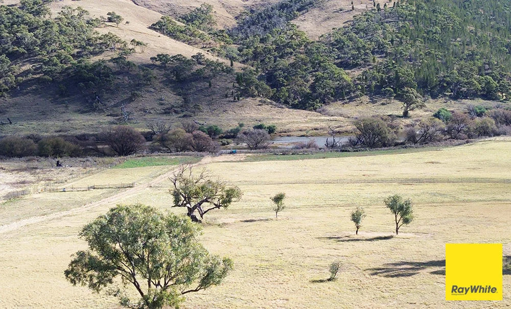 123 Murrumbidgee Drive, Bredbo NSW 2626