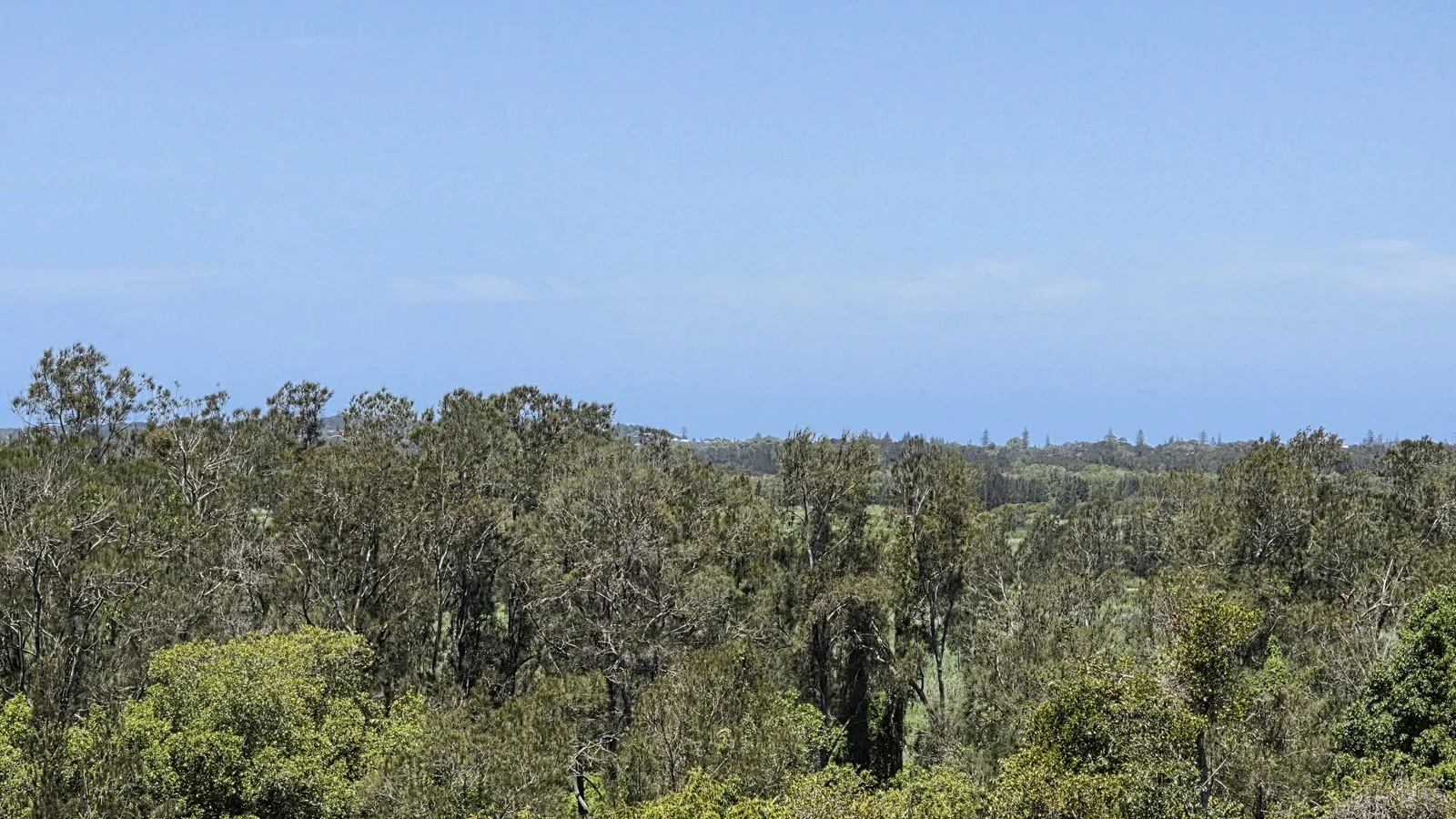 Additional image 12 of 70 North Teven Road, Teven NSW 2478