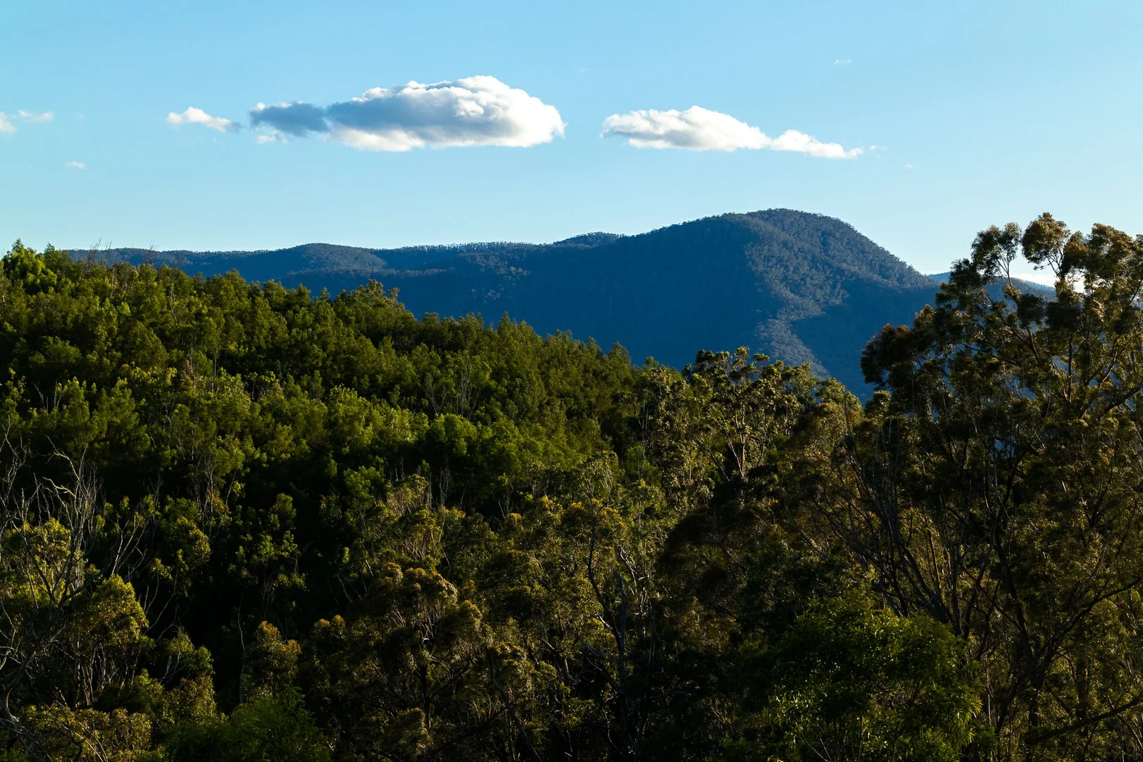 Additional image 9 of 1216 Upper Brogo Road, Brogo NSW 2550