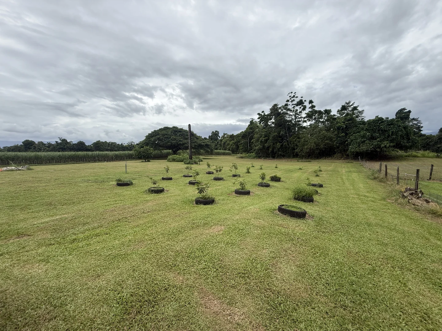 Additional image 12 of Munro Plains QLD 4854