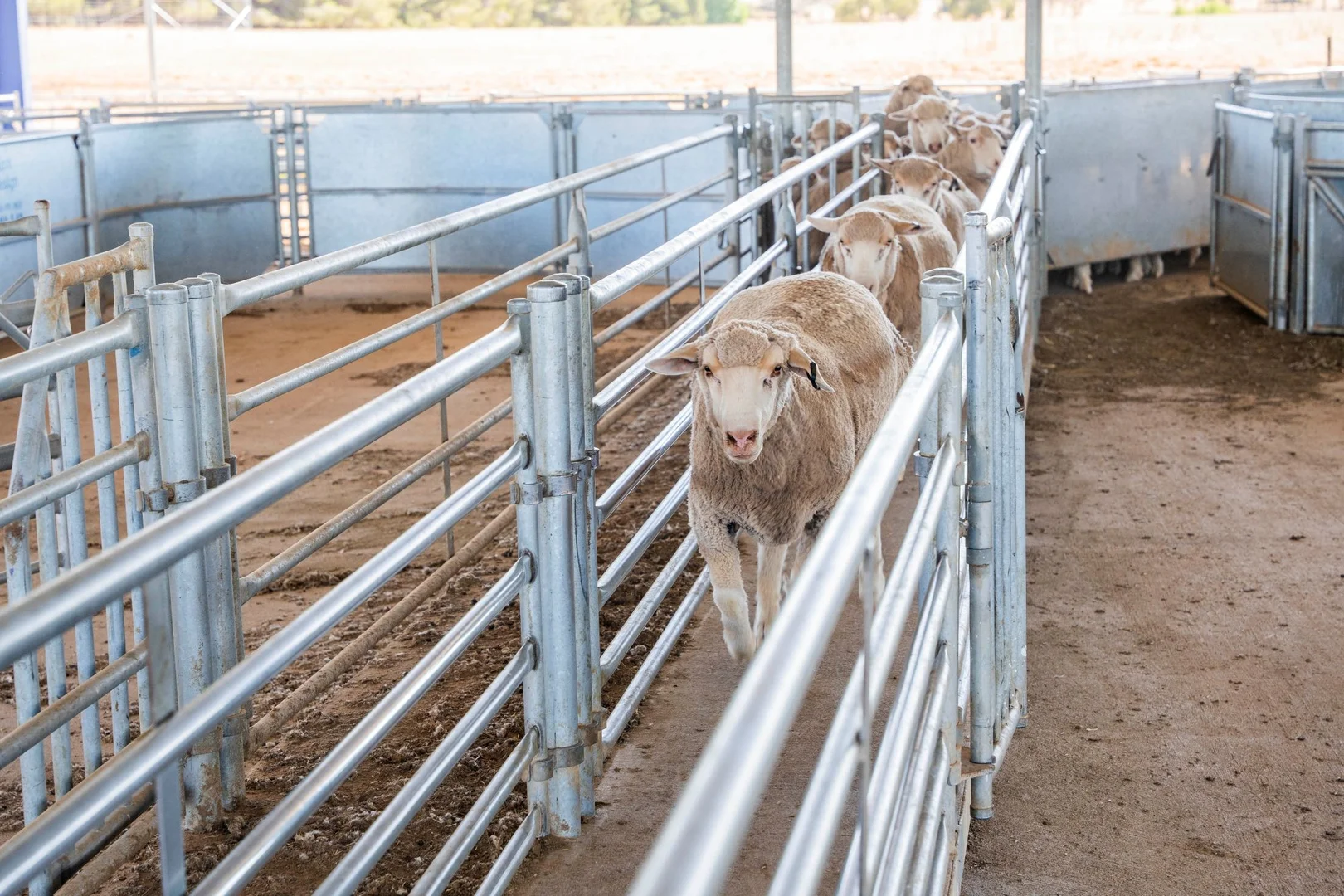 Additional image 24 of 1679 Stockinbingal Road, Cootamundra NSW 2590