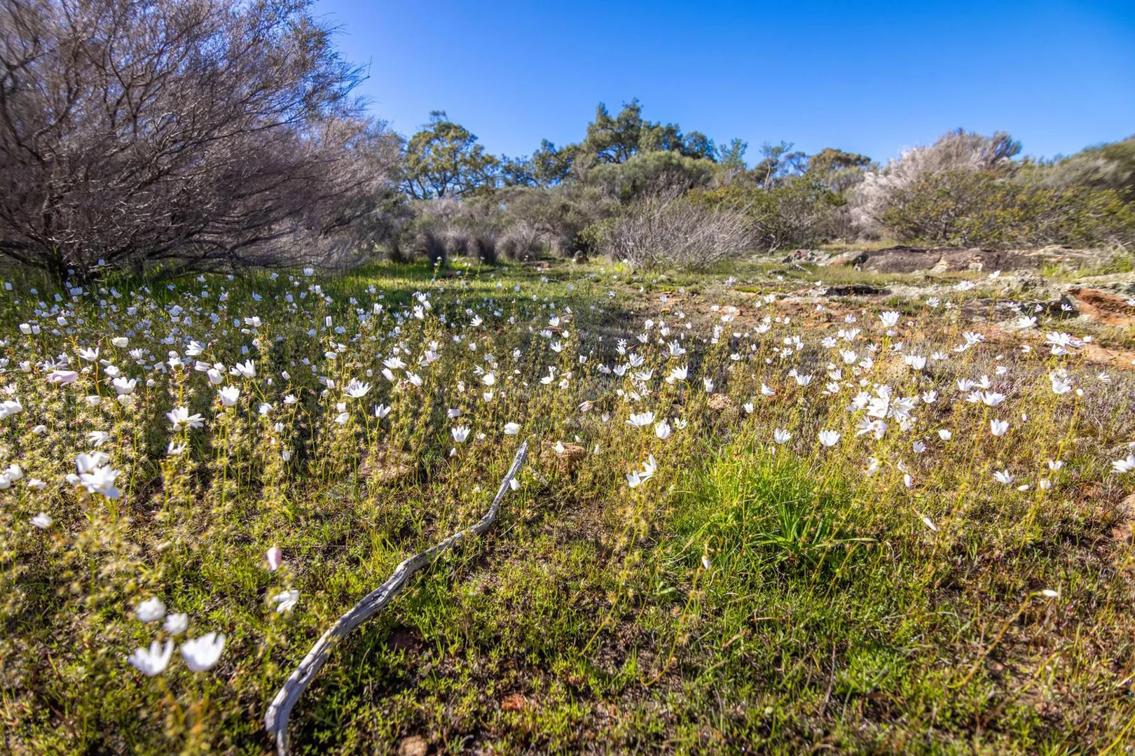 Additional image 38 of 55 Pen Road, Warradarge WA 6518