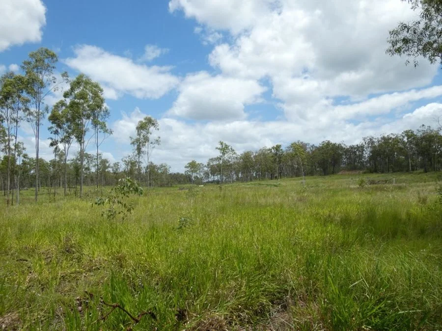 Additional image 28 of Lot 43 Moolyung Road, Waterloo QLD 4673