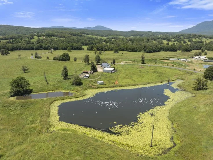 Additional image 6 of 495 Brays Creek Road, Pumpenbil NSW 2484