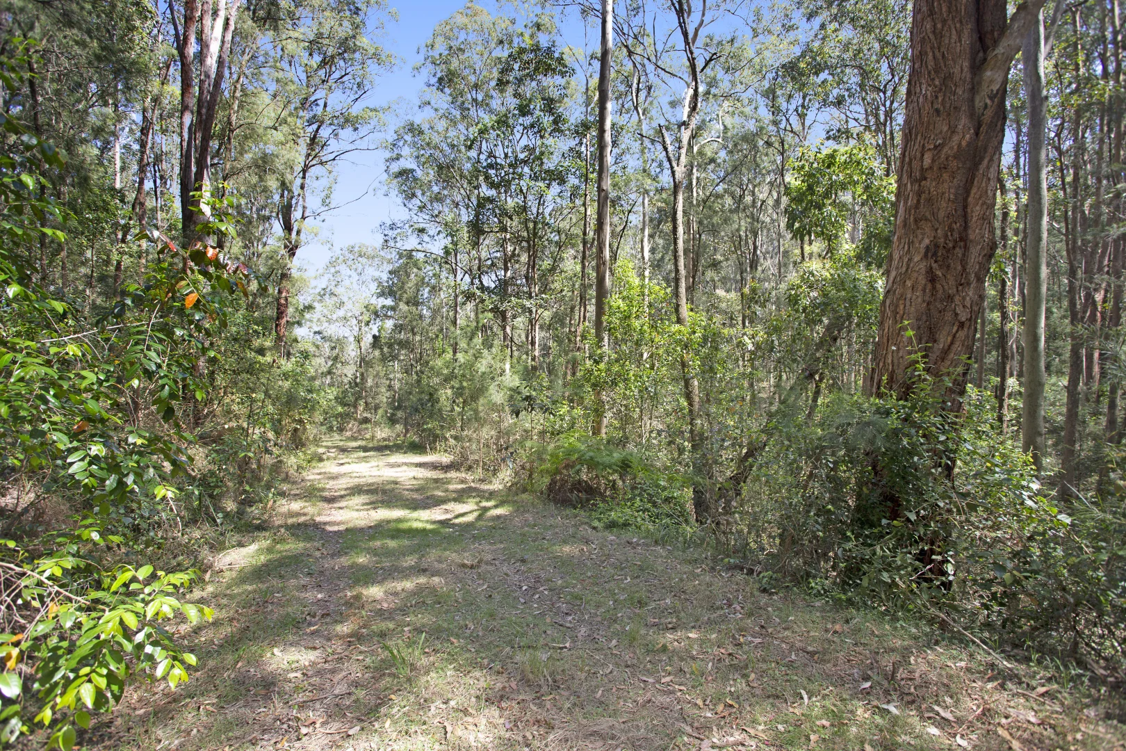 Additional image 15 of 115 Suncrest Close, Bulahdelah NSW 2423
