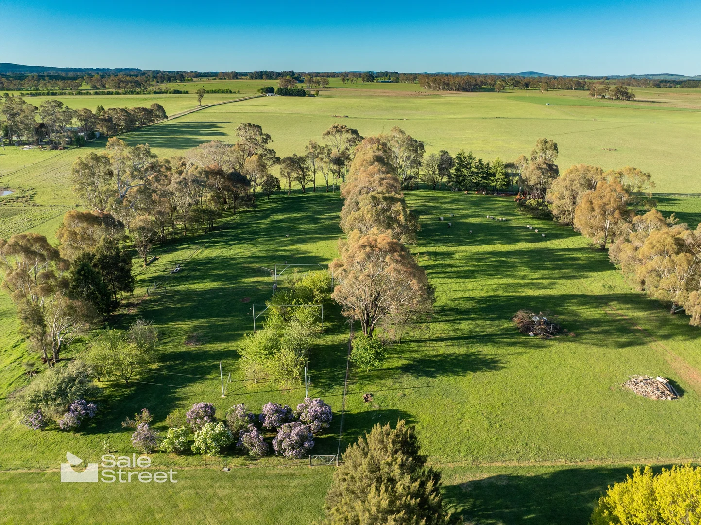Additional image 38 of 31 Curralea Lane, Forest Reefs NSW 2798
