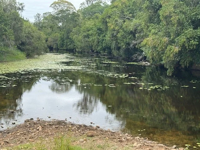 Additional image 11 of 142 PERRY RIVER FARMS RD, Morganville QLD 4671