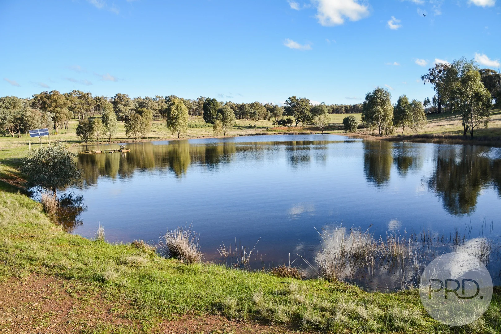 Additional image 33 of 3174 Holbrook Road, Mangoplah NSW 2652