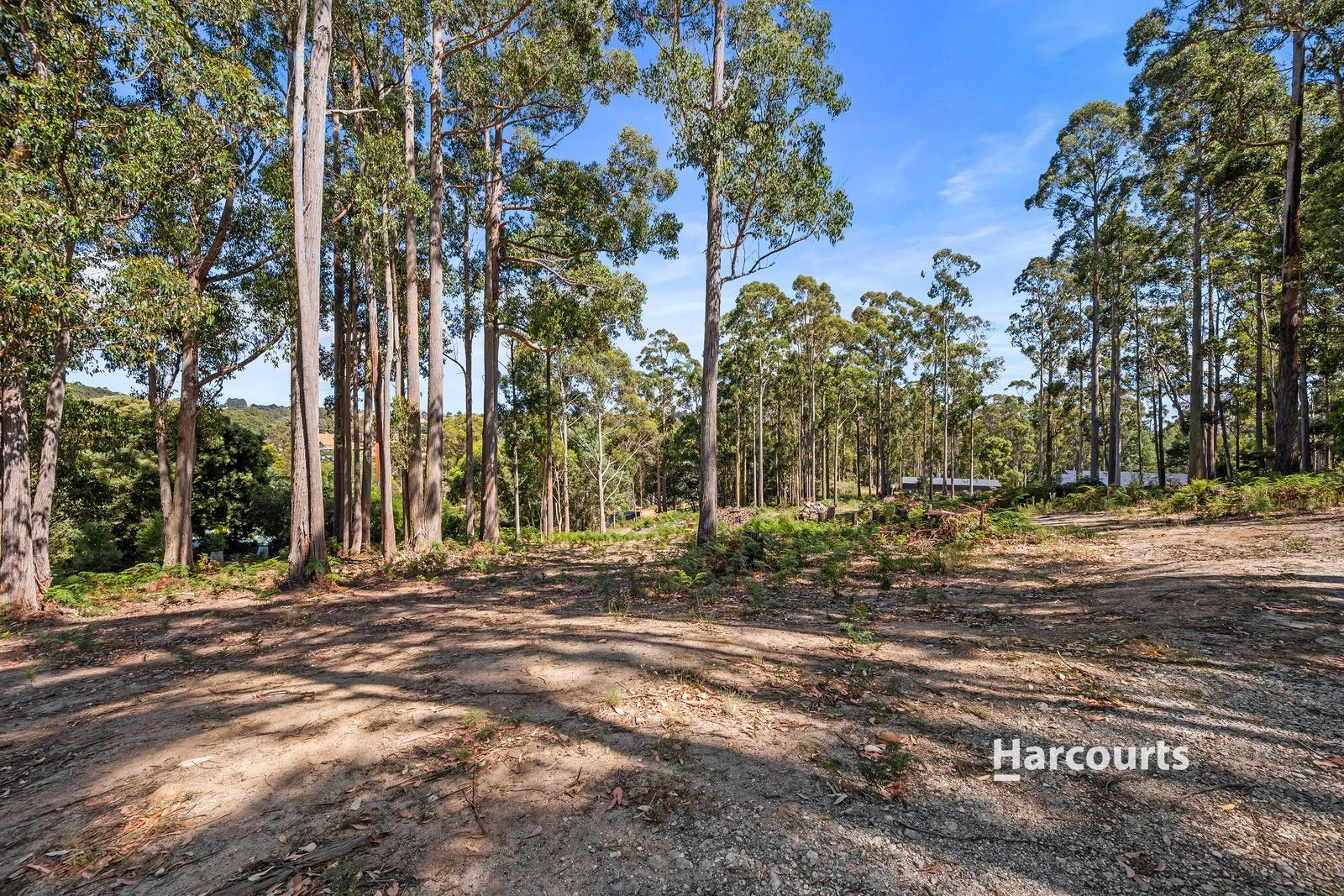 Additional image 3 of 39 Wattle Valley Road, Acacia Hills TAS 7306