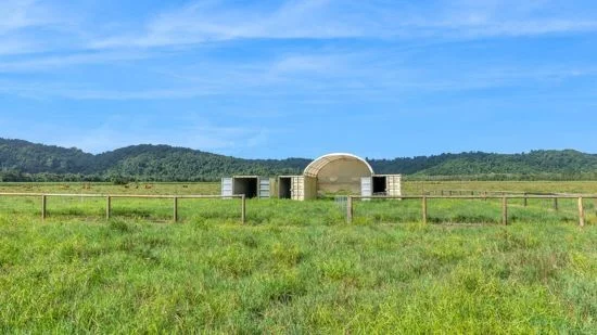 Additional image 9 of 21 Barbagallo Road, Aloomba QLD 4871