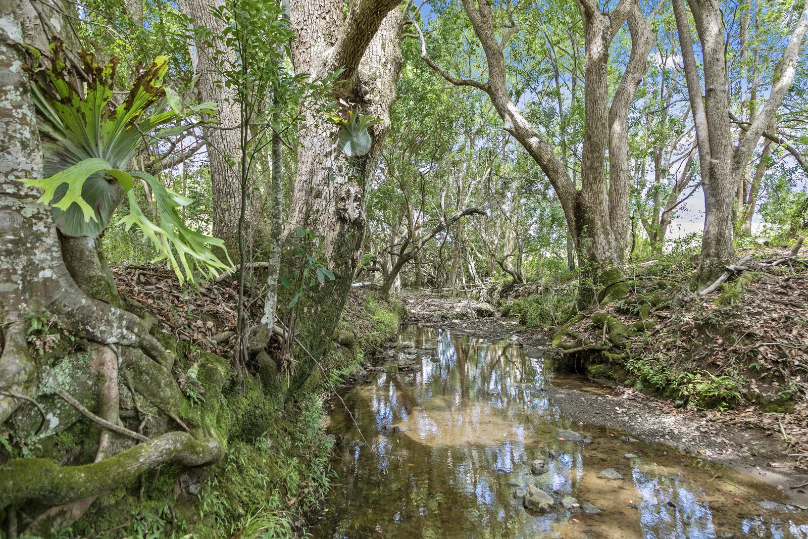 Additional image 30 of 53 Yvonne Street, Highworth QLD 4560