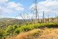 Additional image 11 of Pine Tree Ln, Berry Creek, CA, 95916