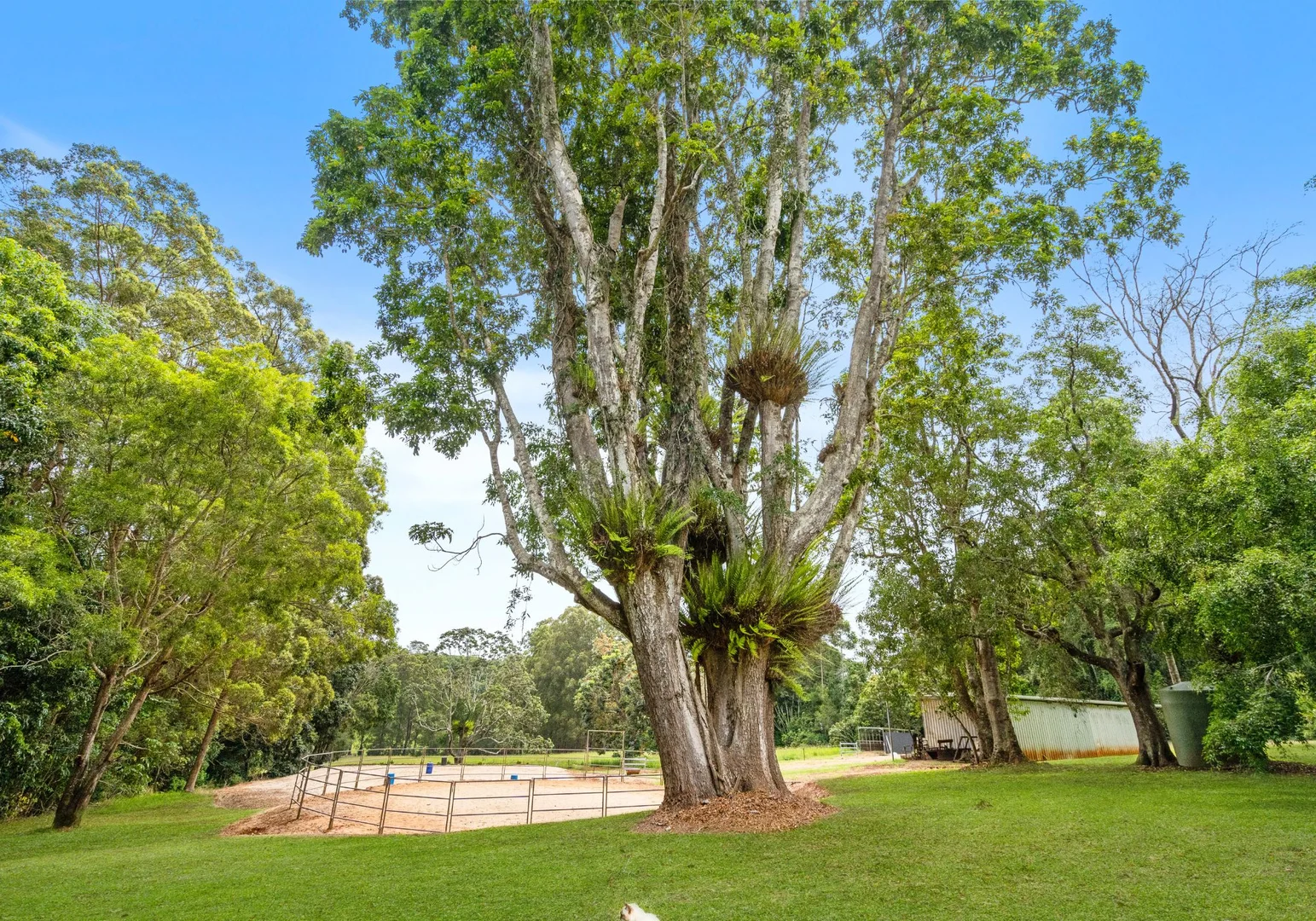 Additional image 23 of 218 Ball Road, Peeramon QLD 4885