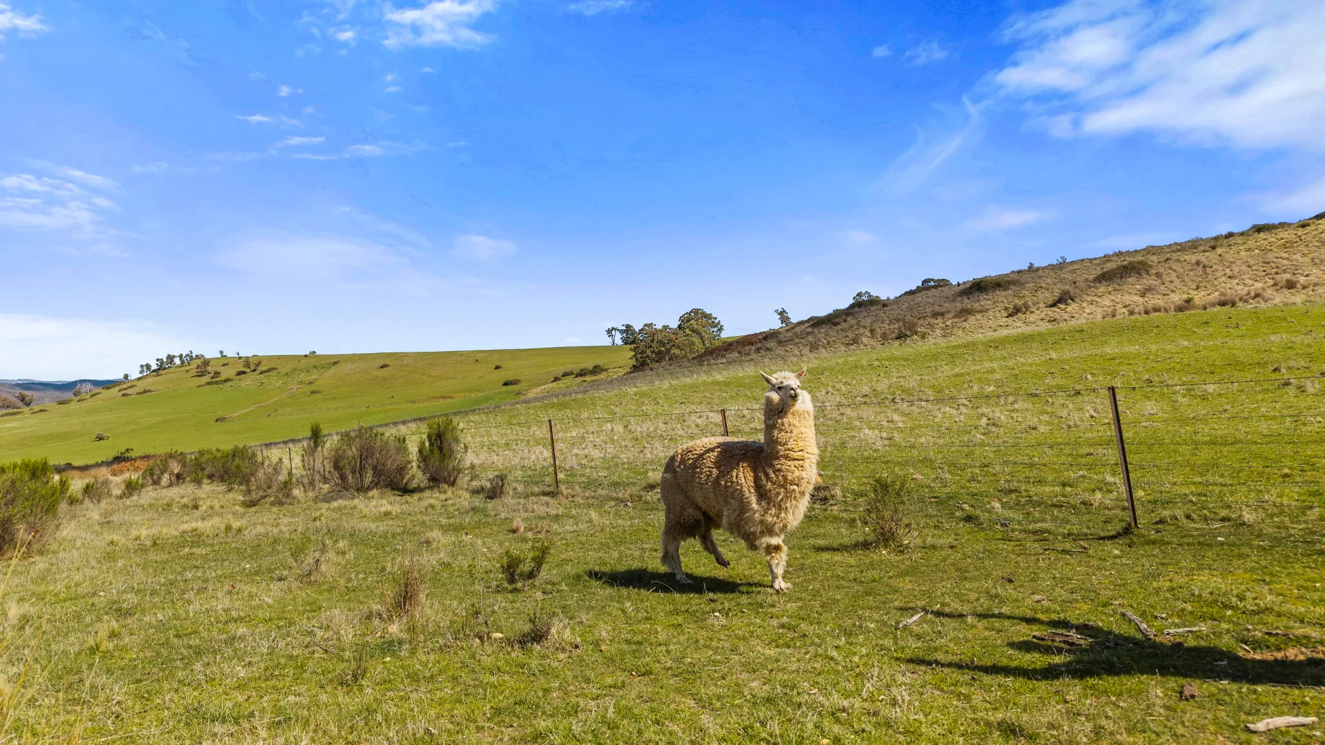 Additional image 25 of 5733-5734 Abercrombie Road, Paling Yards NSW 2580