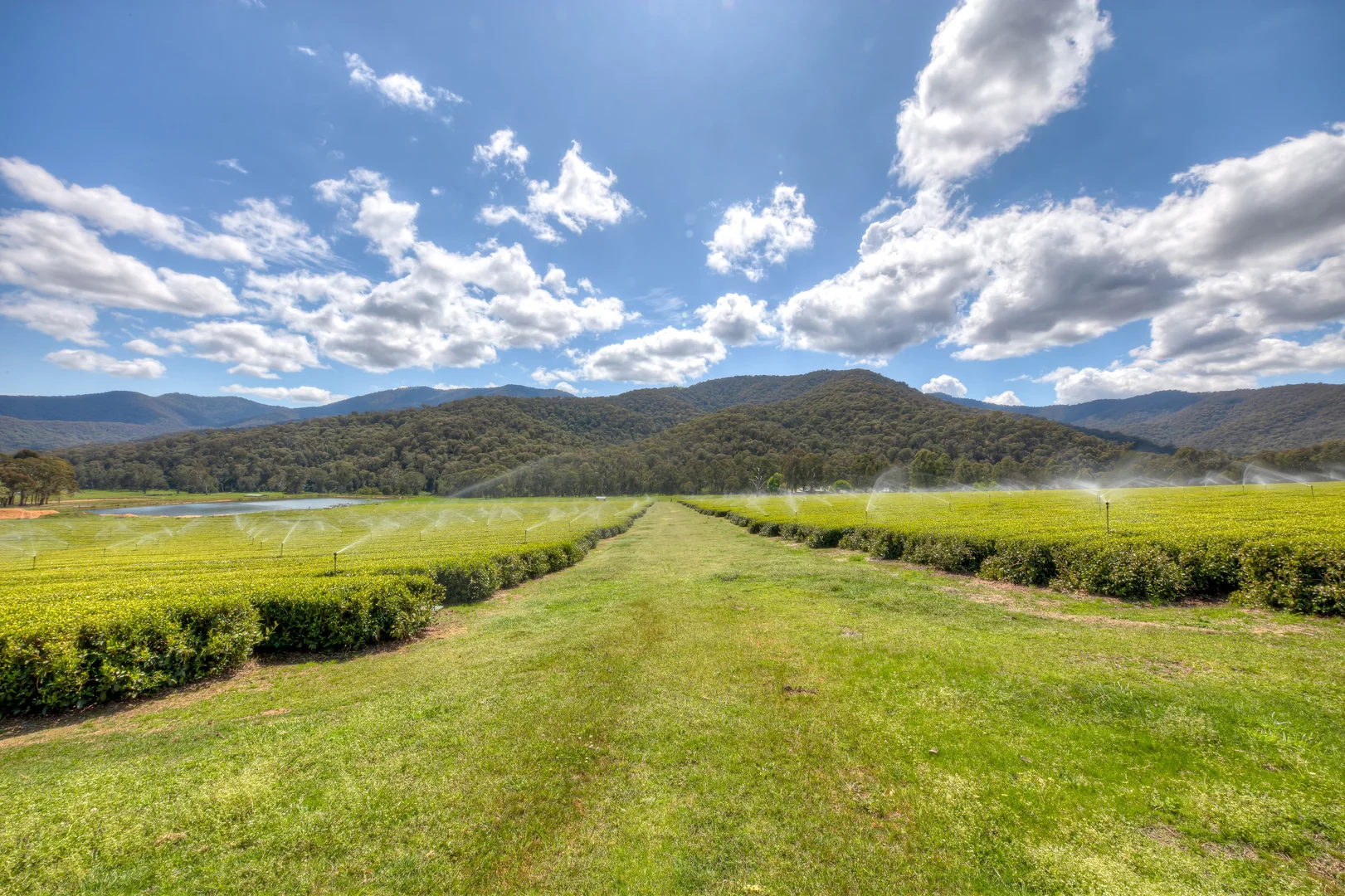 Additional image 20 of 227 Mount Porepunkah Road, Bright VIC 3741