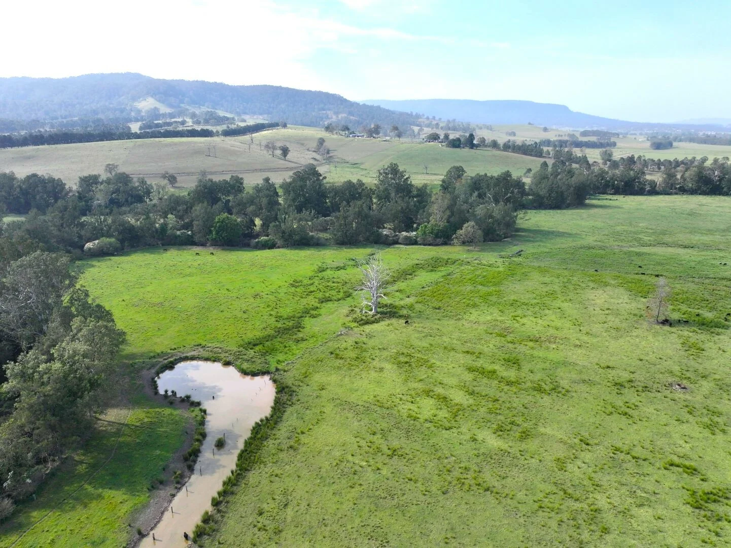 Additional image 7 of 15754 Clarence Way, Bonalbo NSW 2469