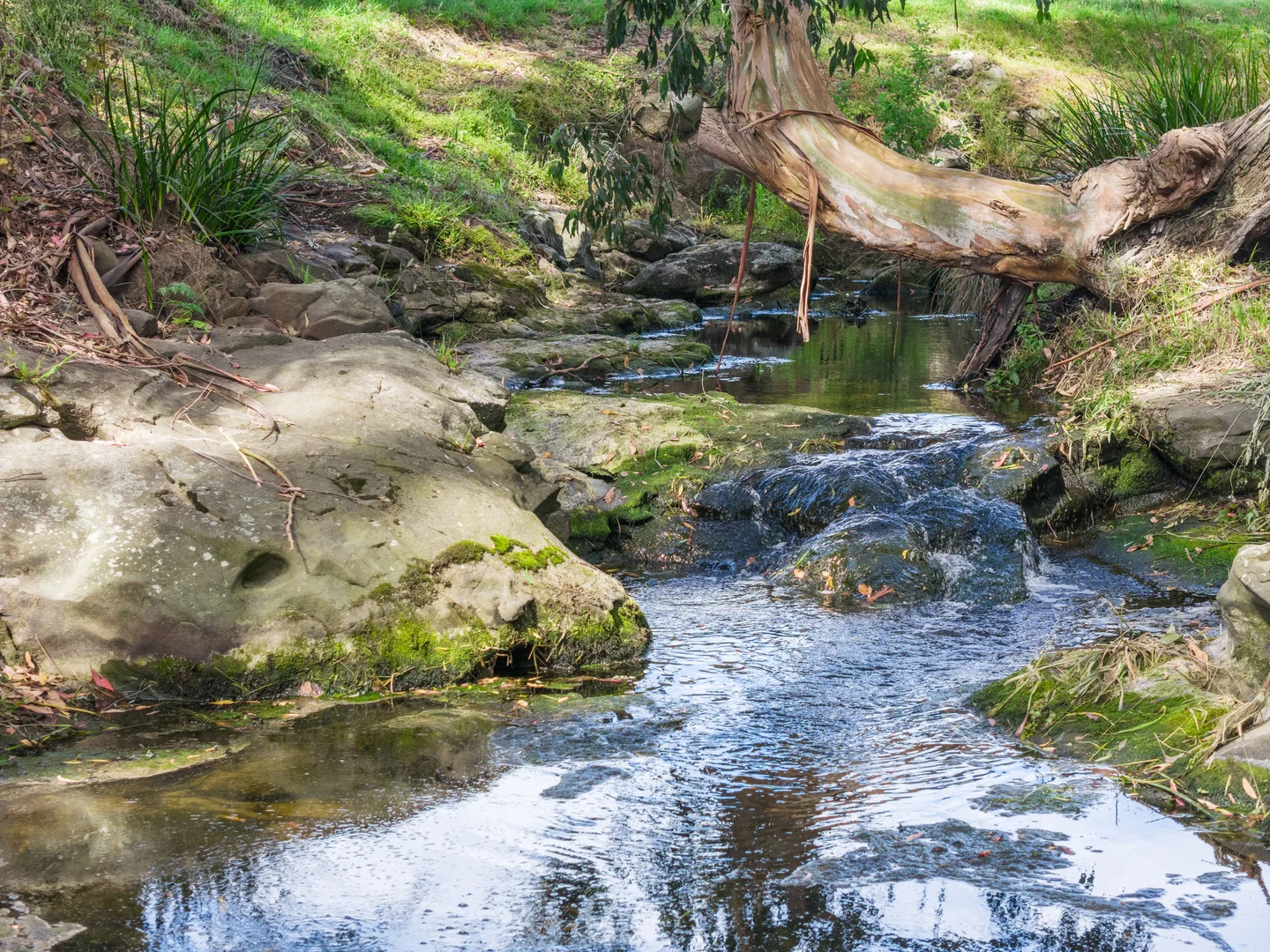 Additional image 23 of 8795 South Gippsland Highway, Korumburra VIC 3950