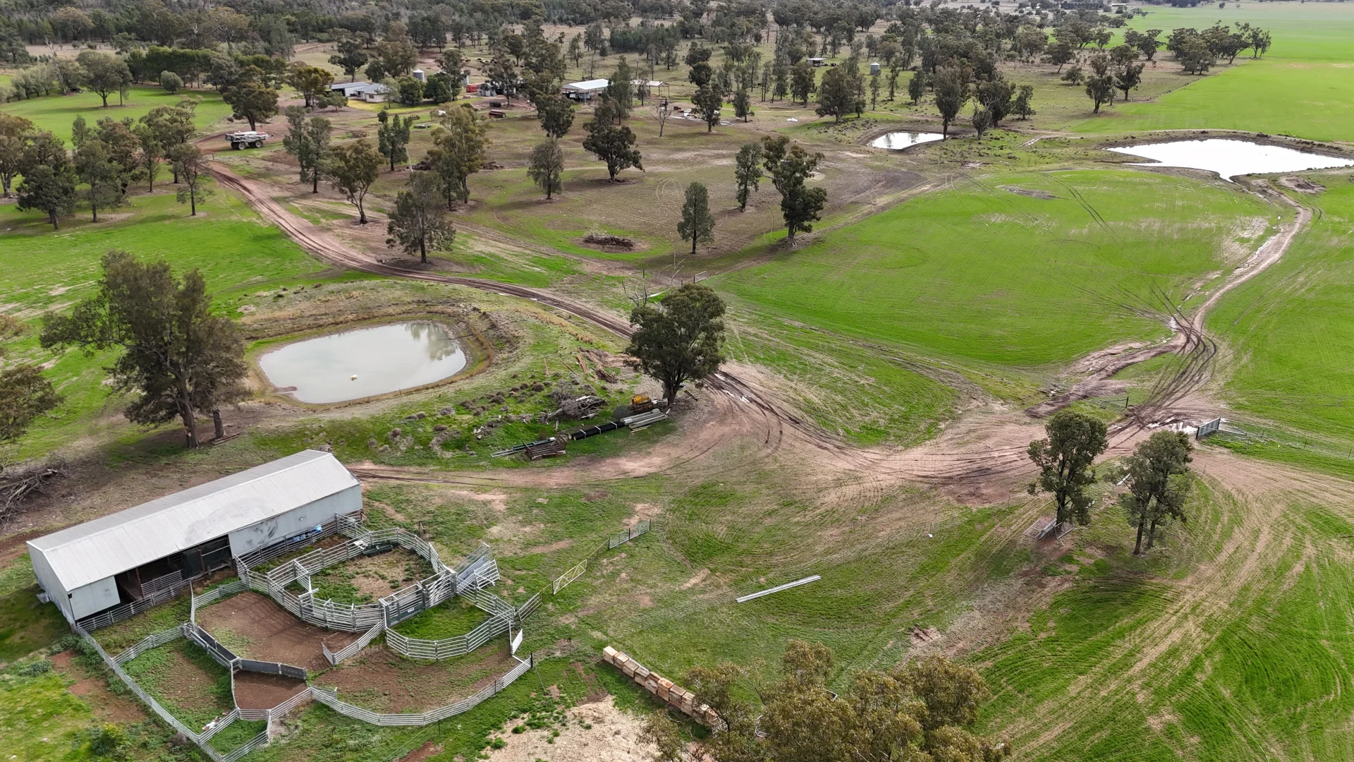 Additional image 2 of 877 Mount Tallabung Road, Forbes NSW 2871