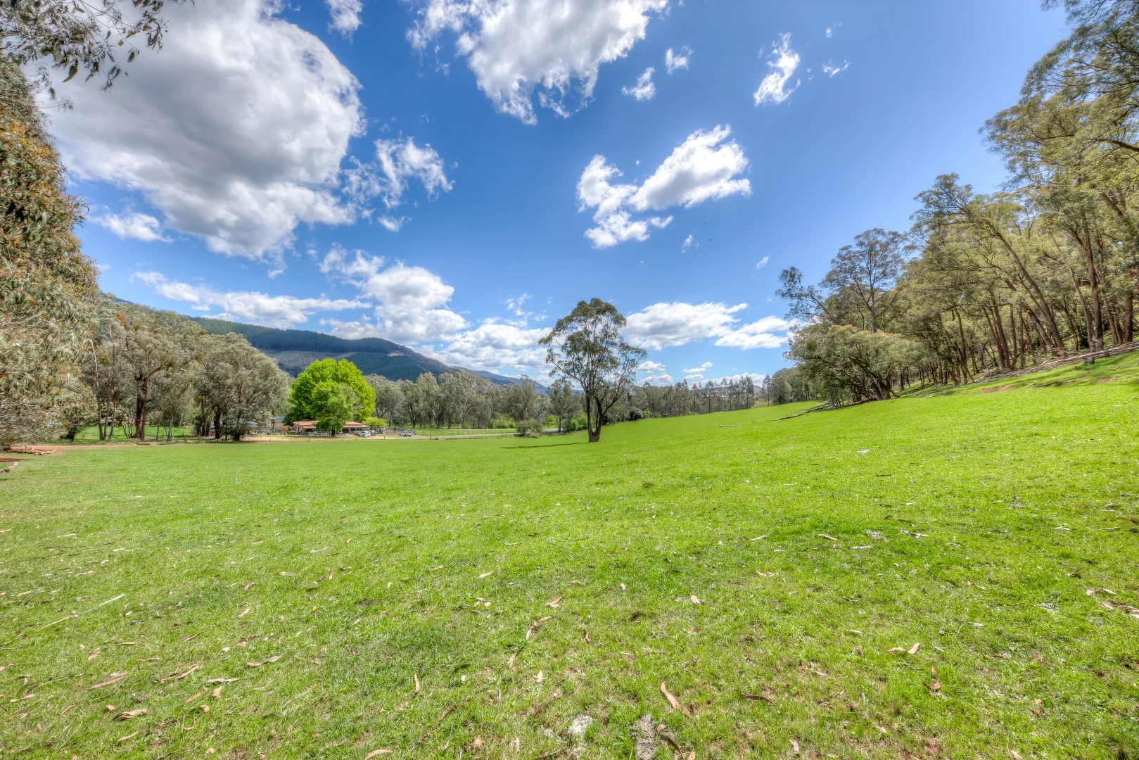 Additional image 9 of 1A Back Wandiligong Road, Bright VIC 3741