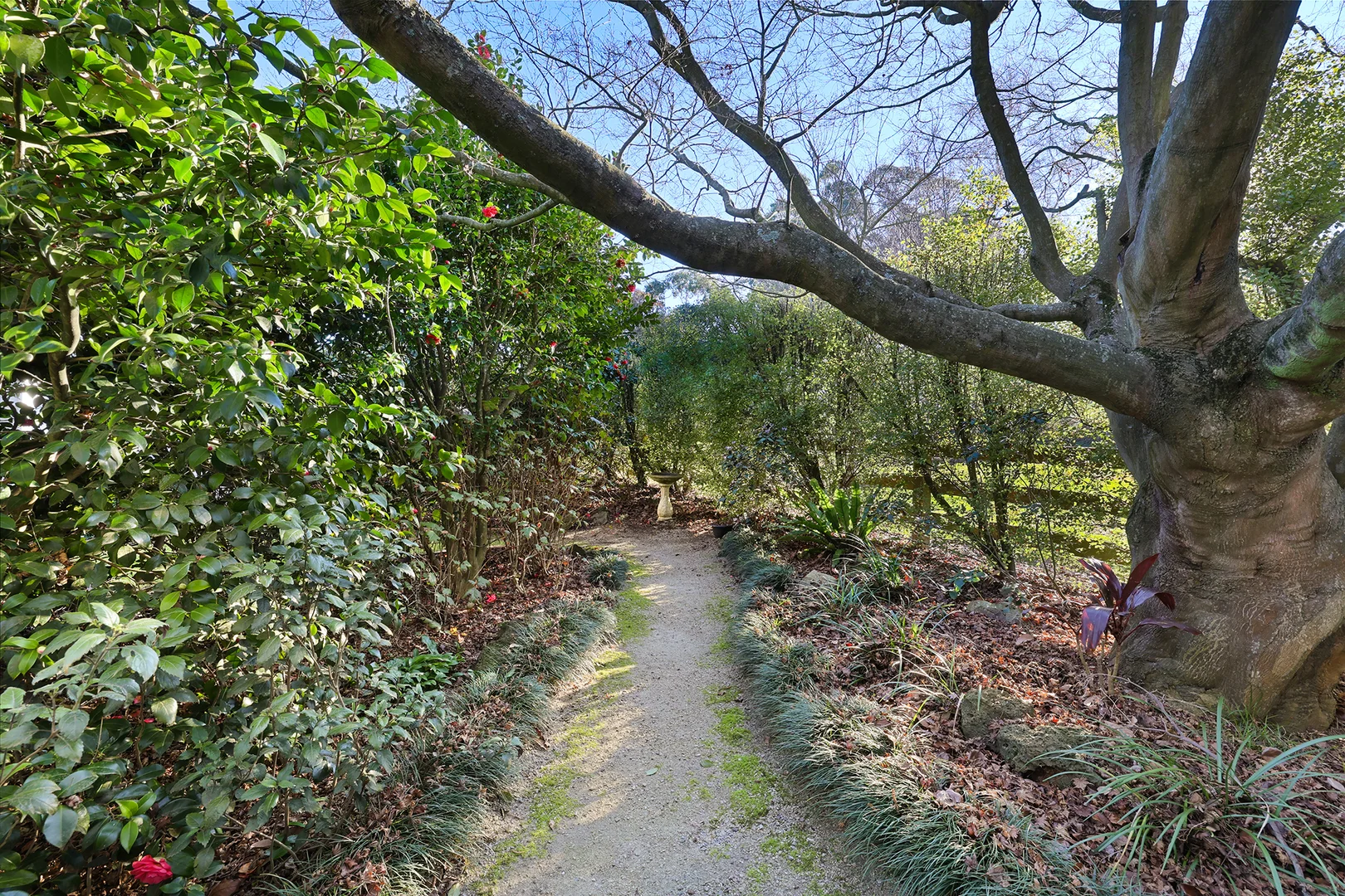 Additional image 23 of 70 Invermay Road, Ripplebrook VIC 3818