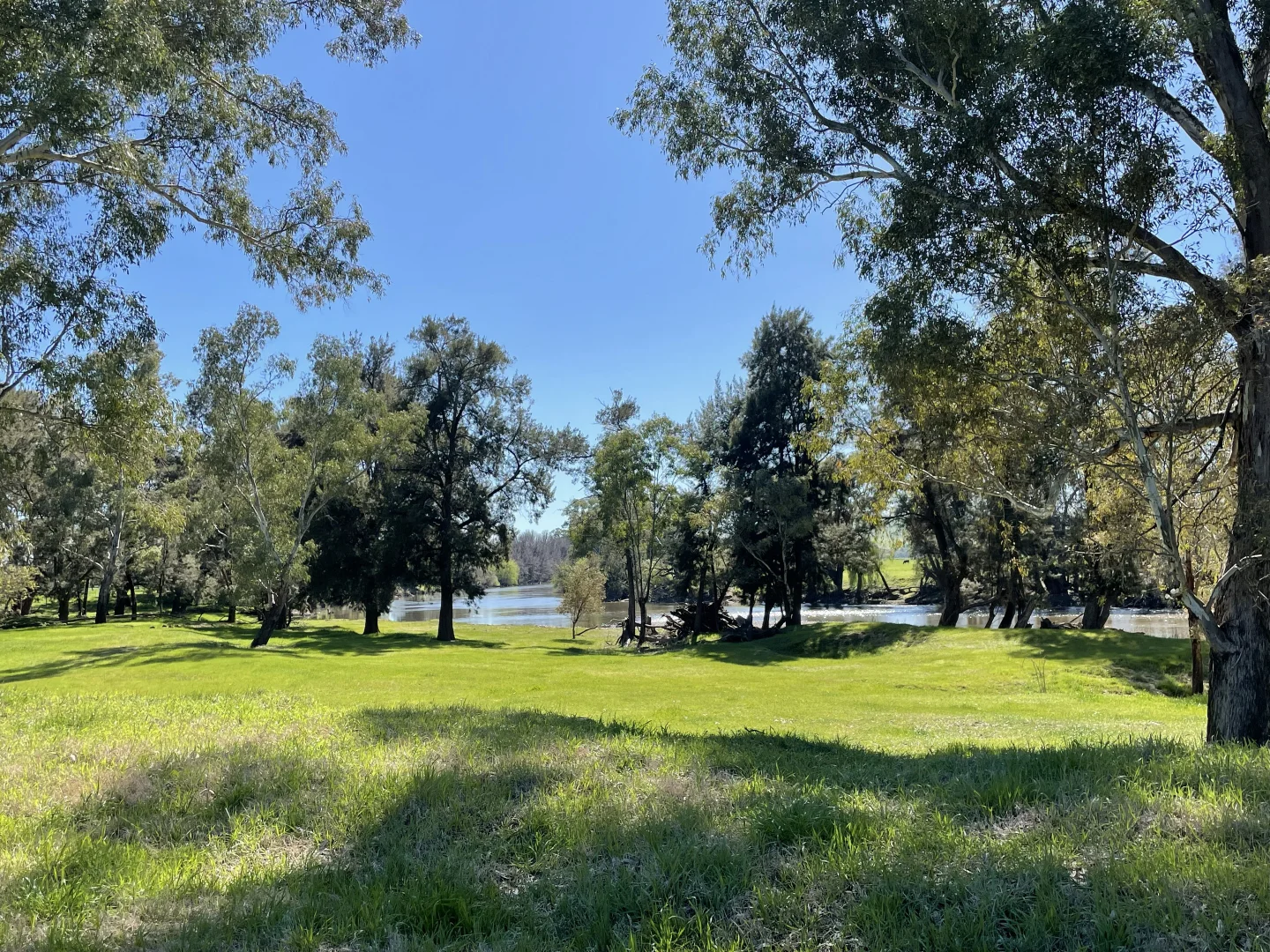 Additional image 4 of 44 Dodd Street, Gundagai NSW 2722