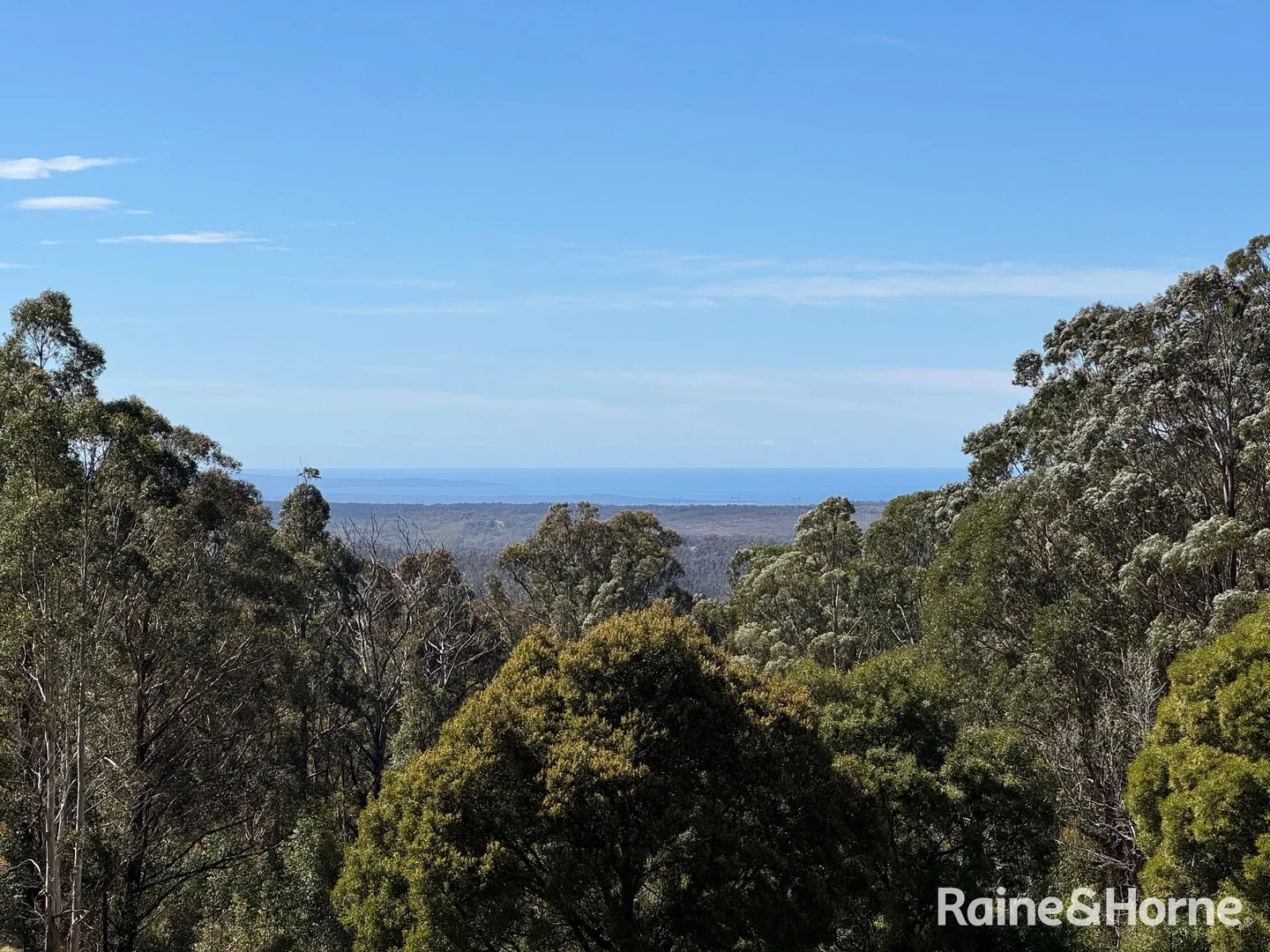 Additional image 5 of 36 Sturgiss Road, Sassafras NSW 2622