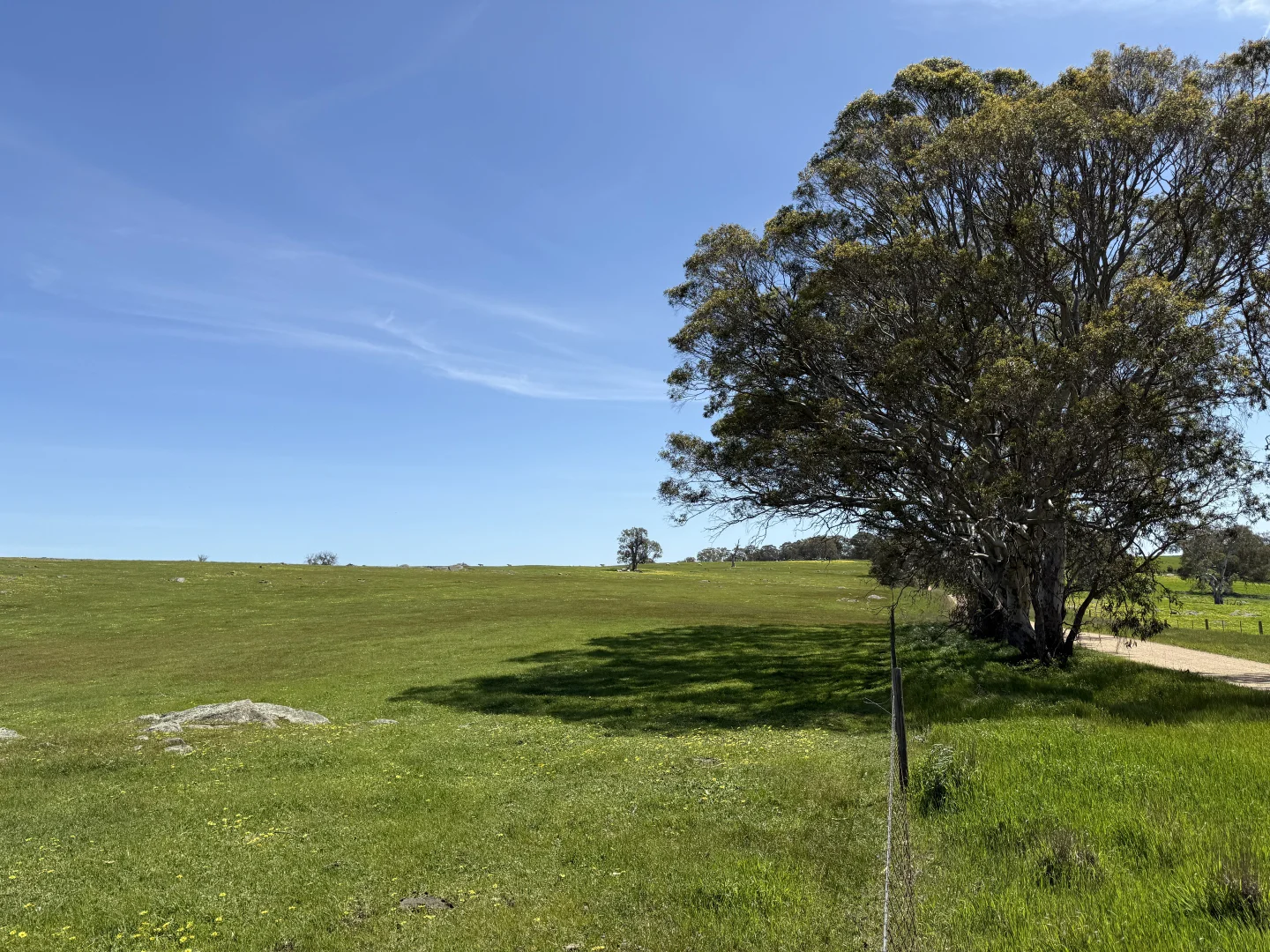 Additional image 8 of Lot 115 Mcgormans Road, Tungkillo SA 5236