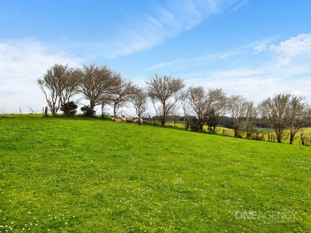 Additional image 31 of 81 Kays Road, Irishtown TAS 7330